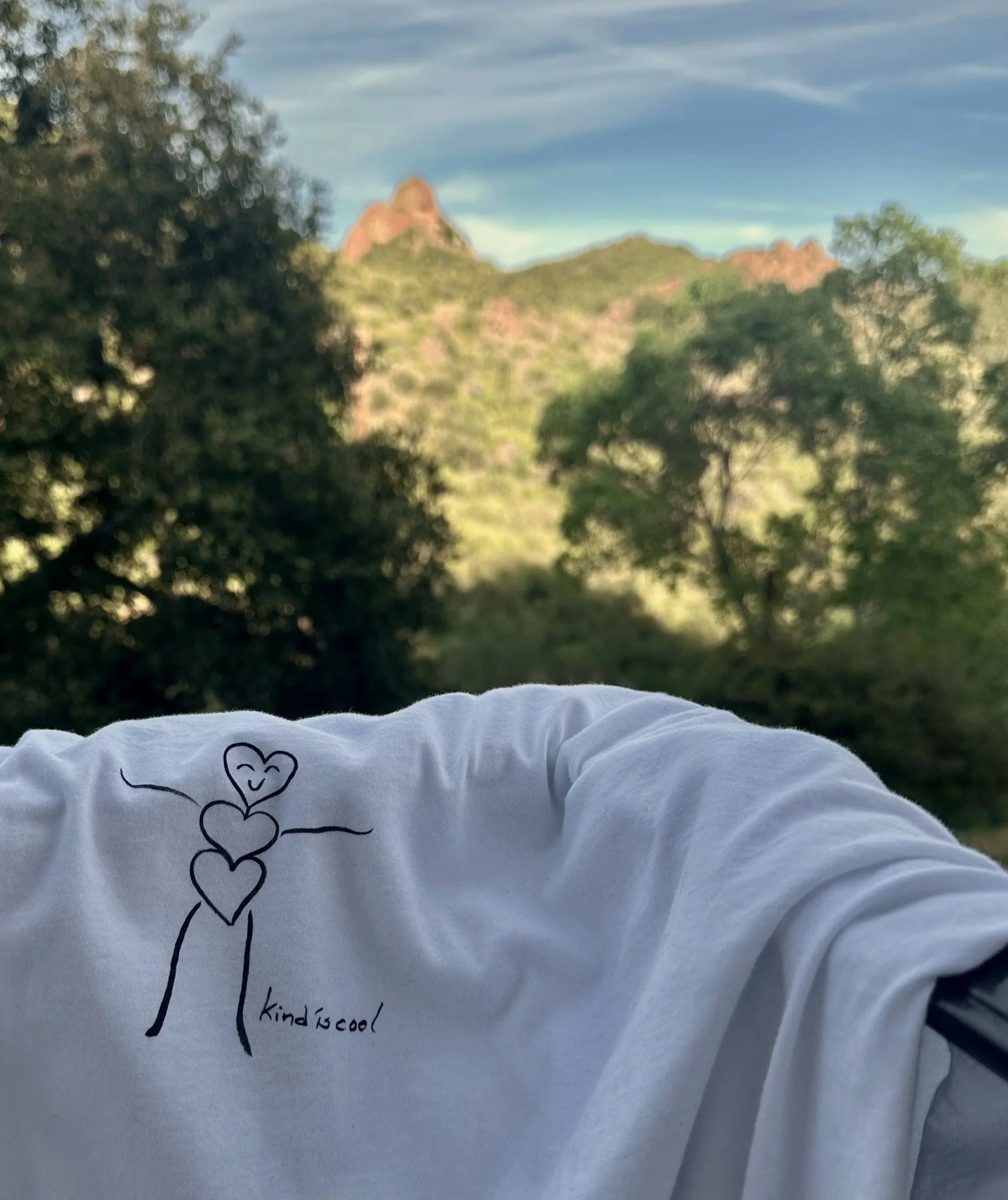 Close-up of a white fabric with a hand-drawn black heart and a tree with a branching trunk and leaves in the background under a blue sky with wispy clouds.