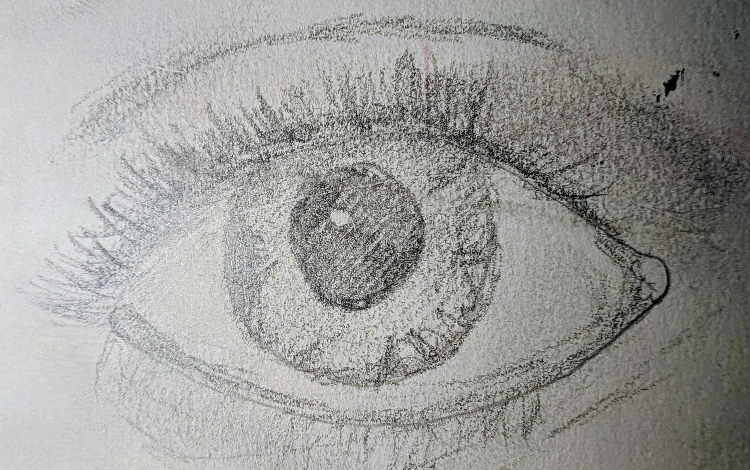 A detailed pencil sketch of a human eye, showing the iris, pupil, eyelashes, and surrounding eye structure - by Bronwyn Putman at Forgotten Loves