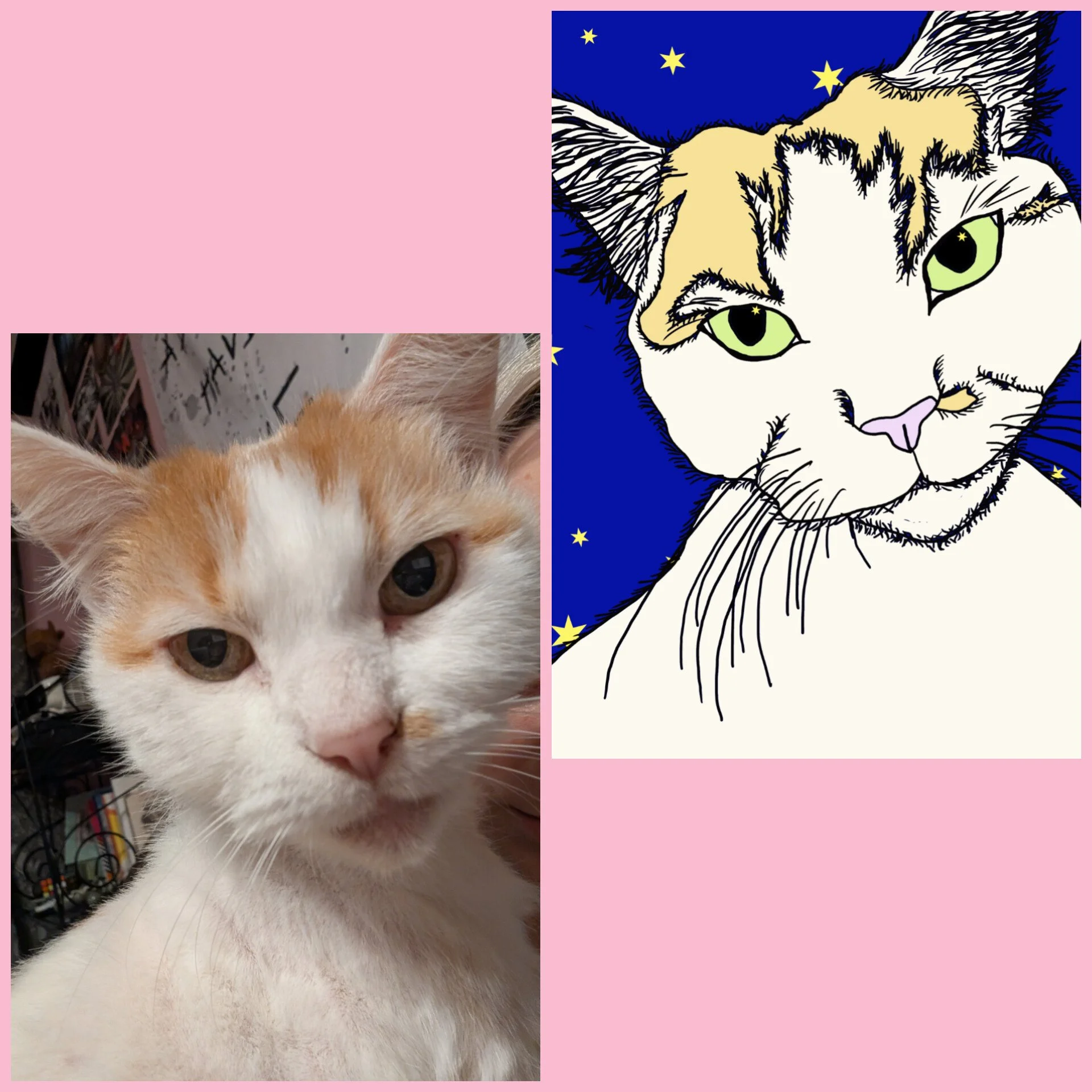 Custom digital pet print