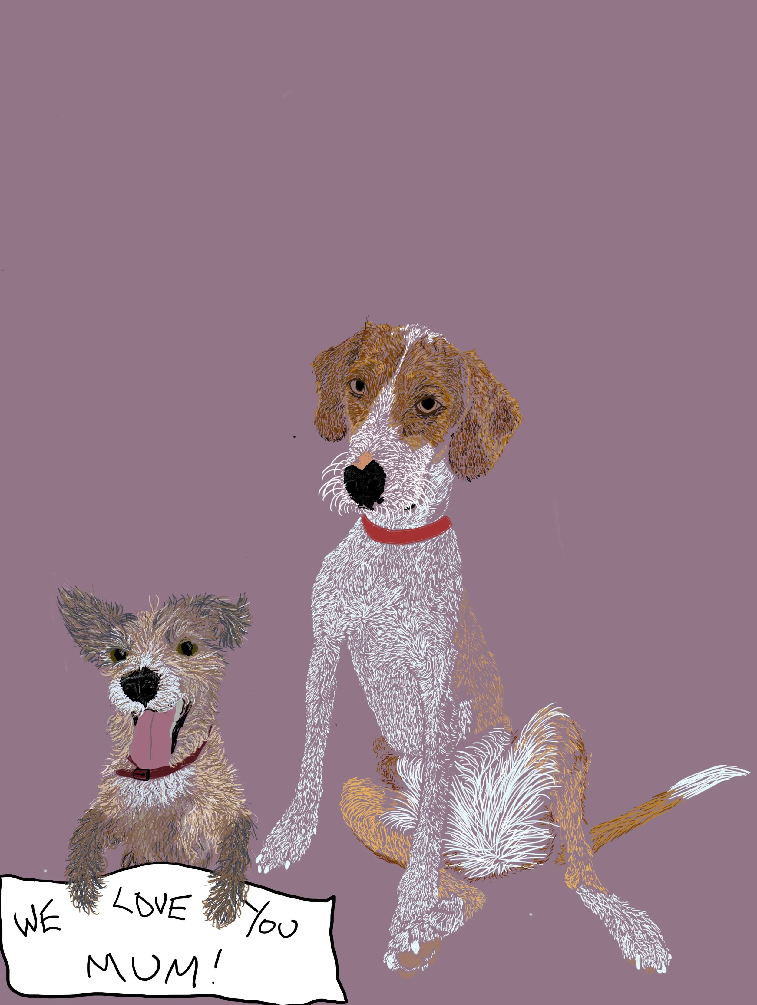 Detailed pet portrait