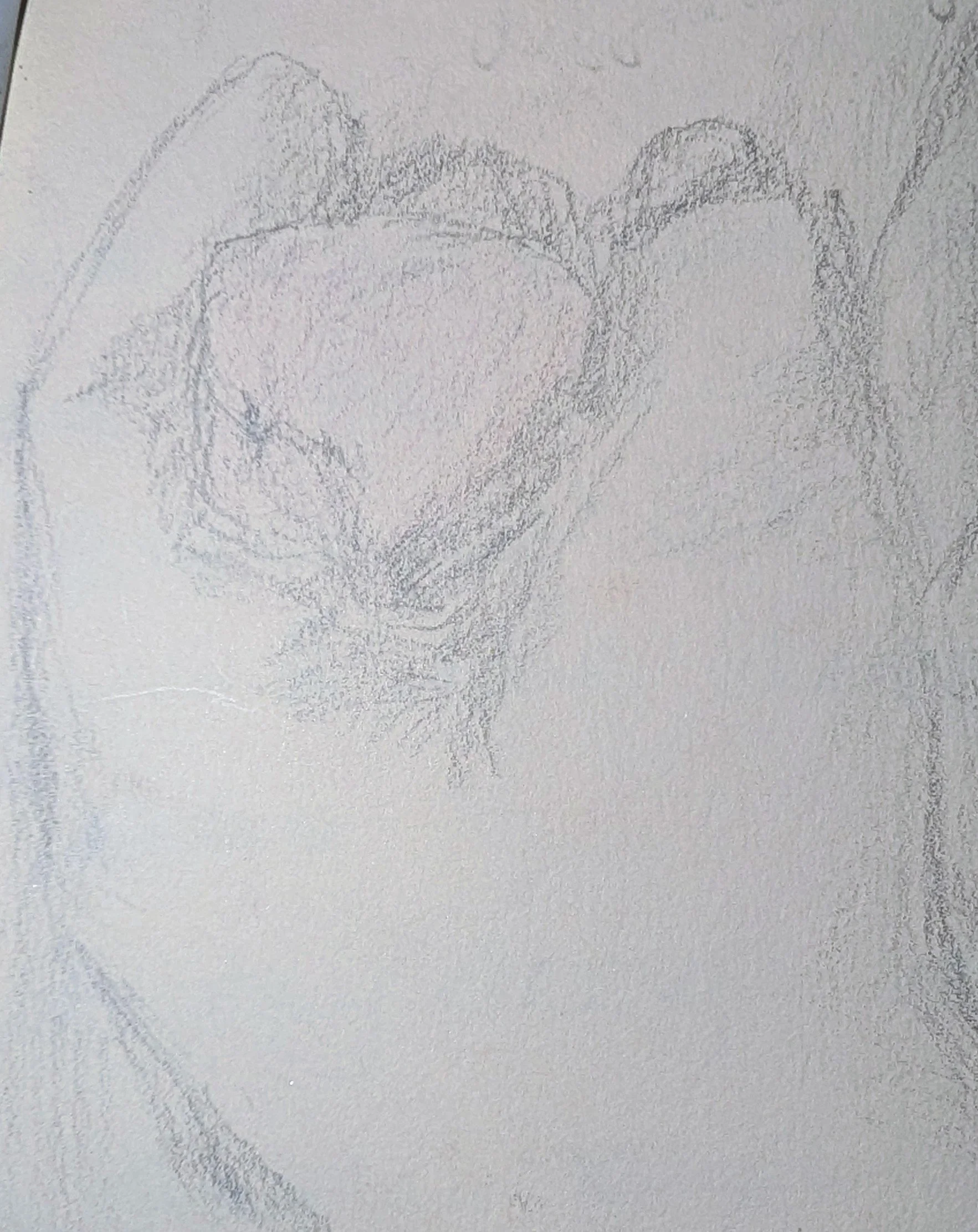 A pencil sketch of a hand holding a crystal - by Bronwyn Putman at Forgotten Loves