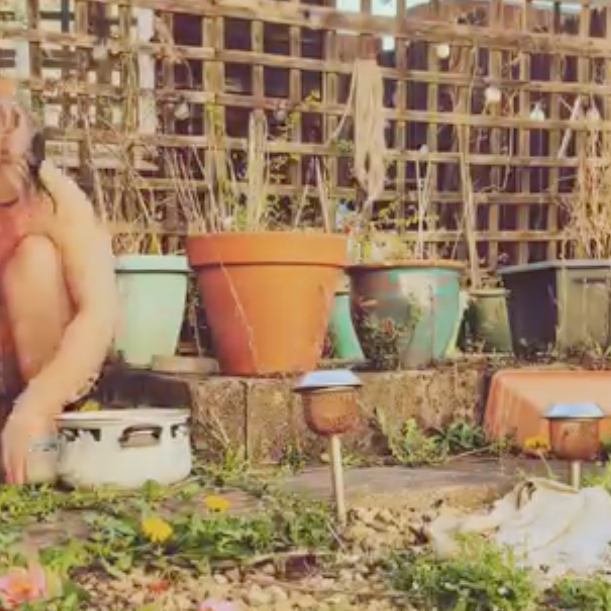 Social media post for The Crafty Pickle Co. about using foraged foods to create different items like vegan honey.