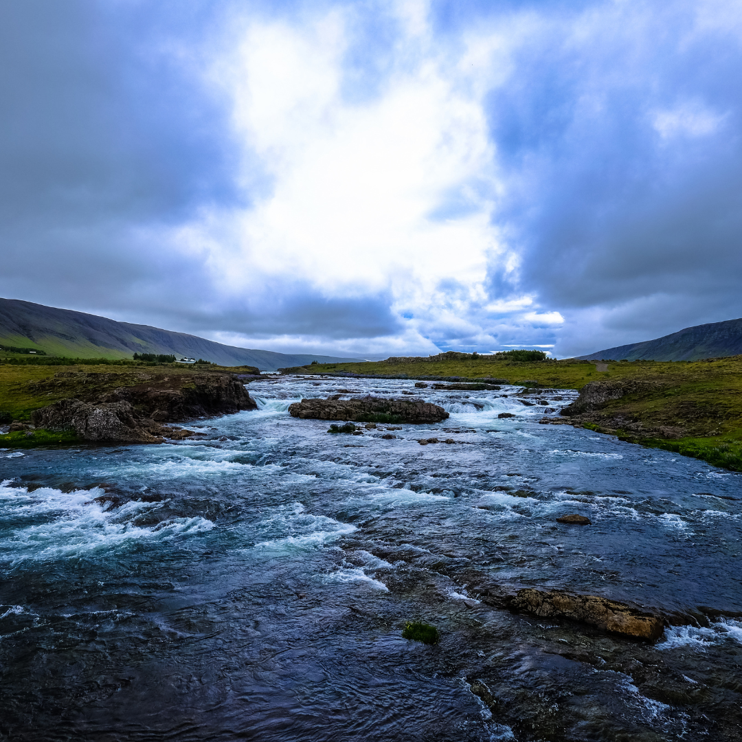 Untitled design (10).png