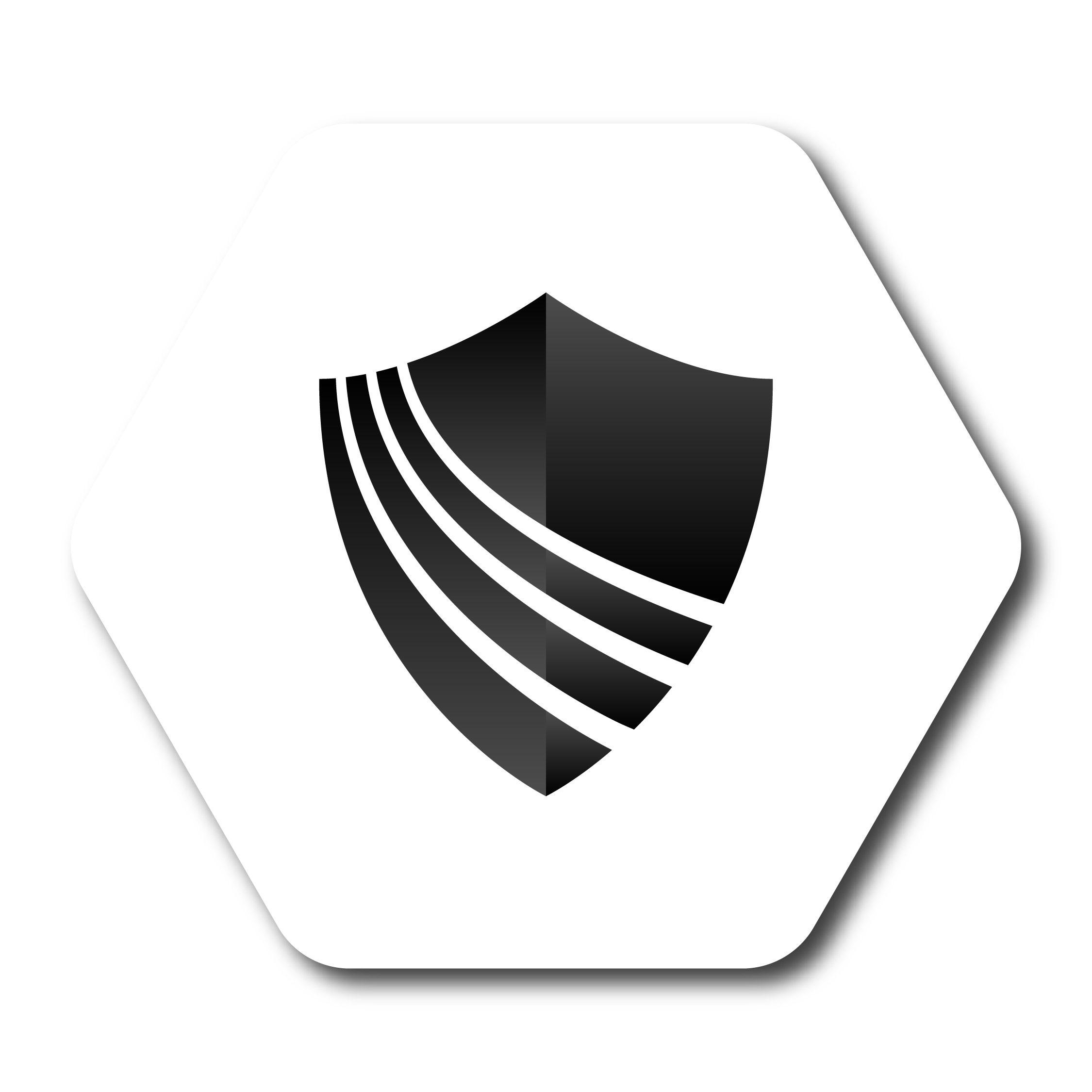 Black and white icon of a shield with curved lines on the left side, inside a hexagon with rounded corners.