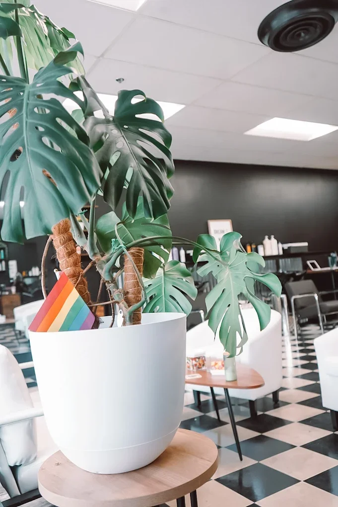 hair rebellion 4.webp