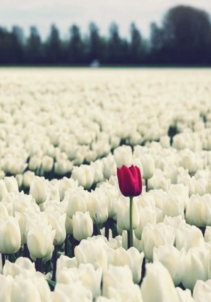 Who Cares What They Think?