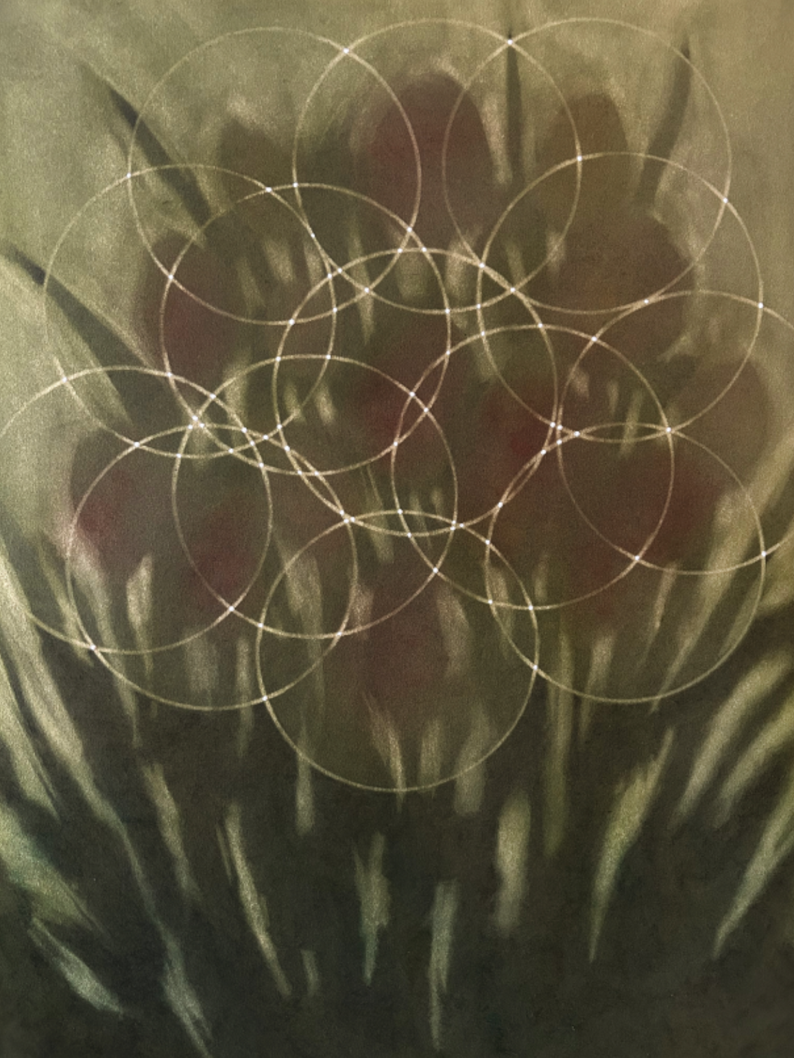 Holographic Spring, 2024. Eraser drawing: graphite, watercolor and
acrylic on Rives BFK on panel, 22 x 30 inches.