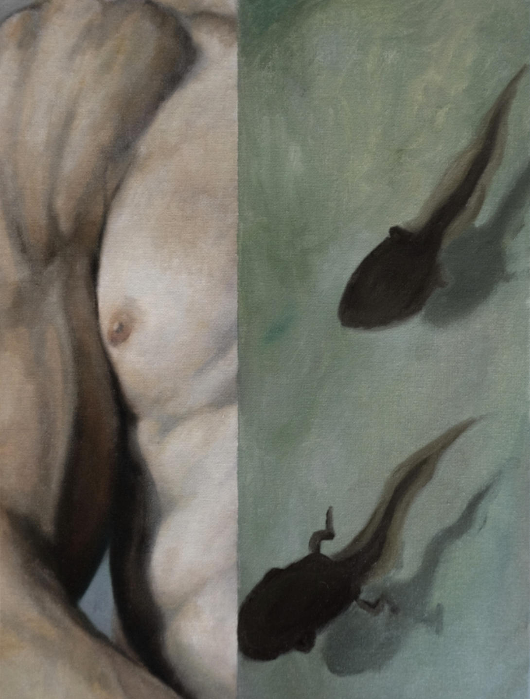 Stream, 2026. Oil on canvas, 12 × 16 inches
