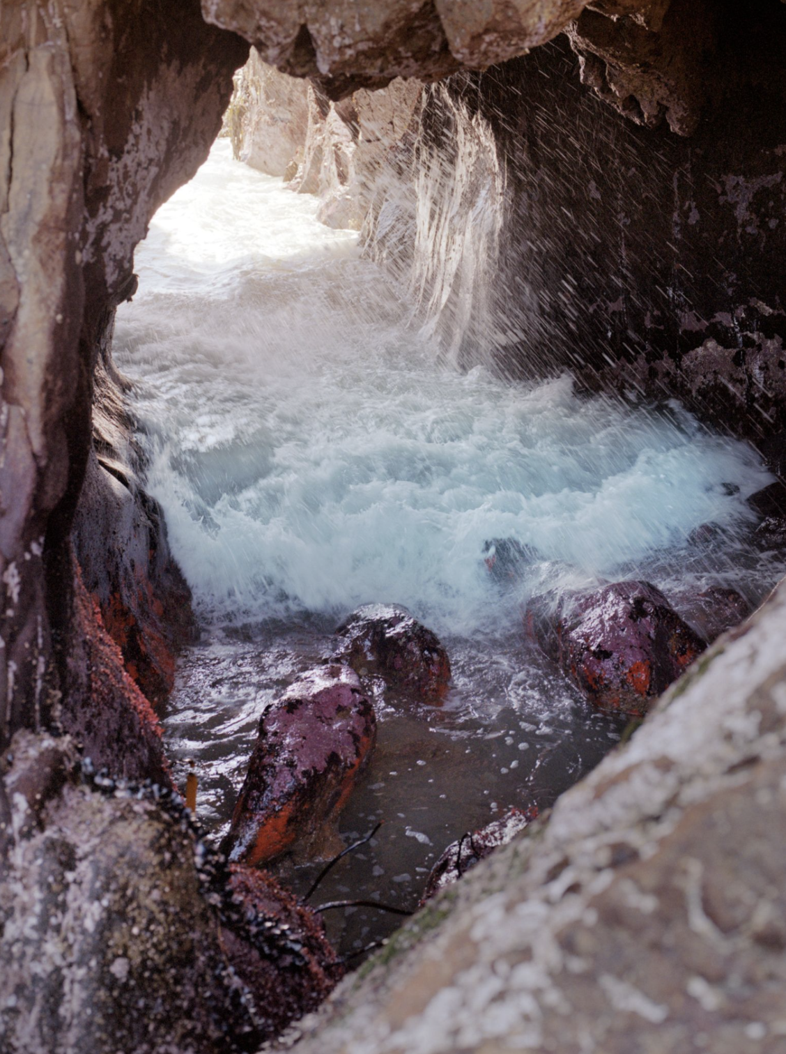 Cove, 2017. Archival pigment print, 15 x 20 inches. Edition of 3.
