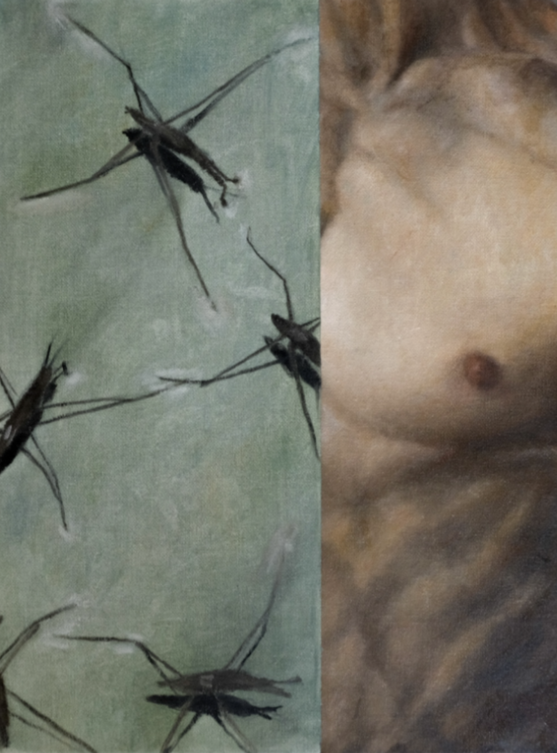 Ripple, 2026. Oil on canvas, 12 × 16 inches