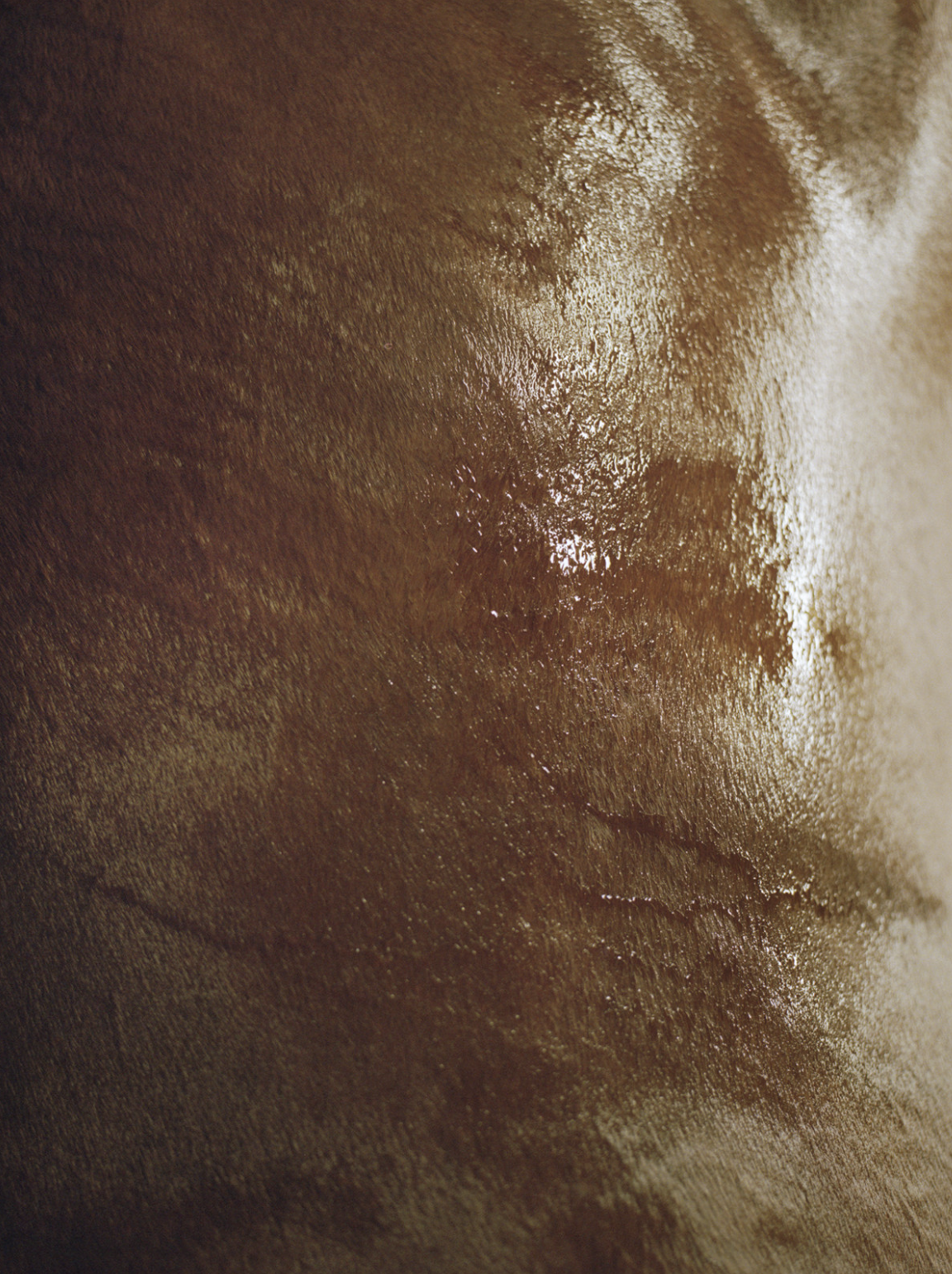 Wet Fur, 2024.
Archival pigment print,
30 × 22.5 inches. Edition of 3.