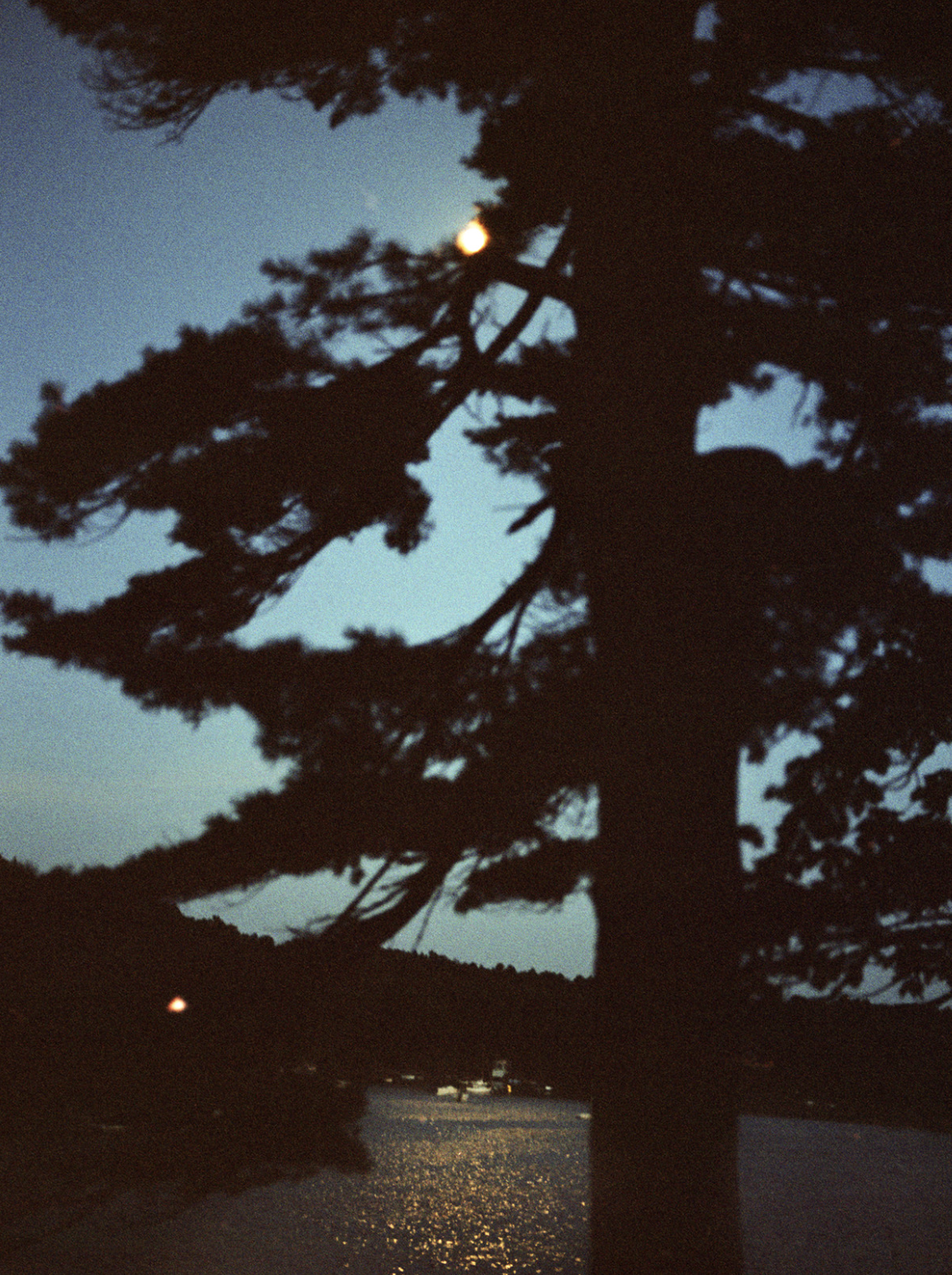 Moonlight, 2020.
Archival pigment print,
40 × 30 inches. Edition of 3.