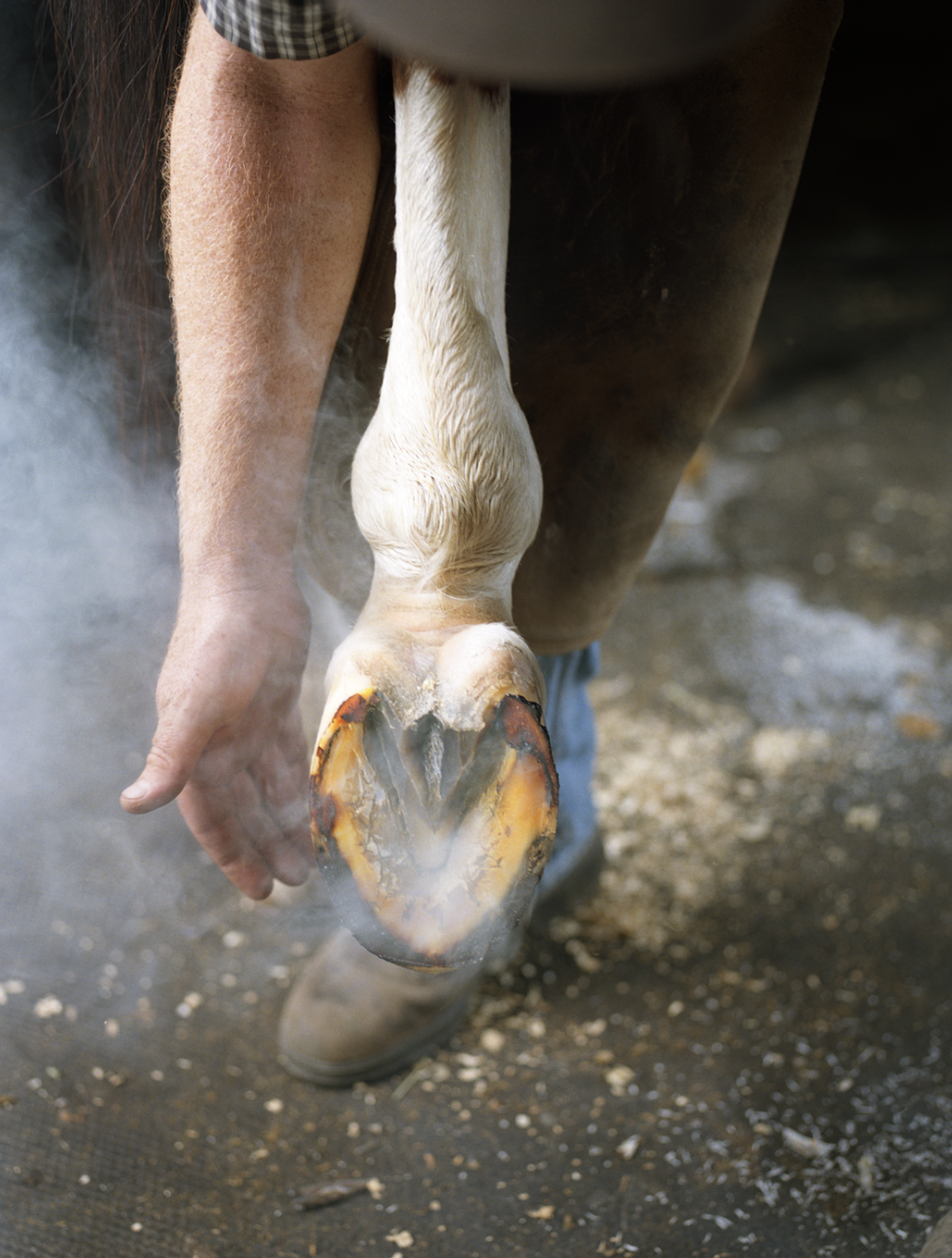 Hoof Smoke, 2024. Archival pigment print, 
16 x 20 inches. 
Edition of 3.
