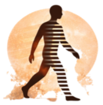 Silhouette of a boy walking with a backpack, against a sunset background