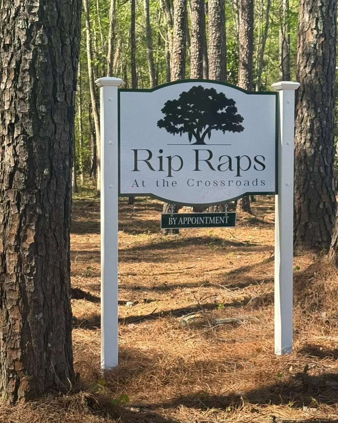 Aren&rsquo;t we starting to look official?! 🥰