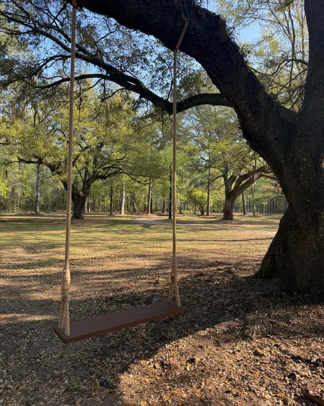 For every kid (and kid at heart) who silently protested the swings being taken down from &ldquo;the treehouse tree&rdquo; THIS is for you. (And also our brides! 😉) Thank you Joe Balzer!