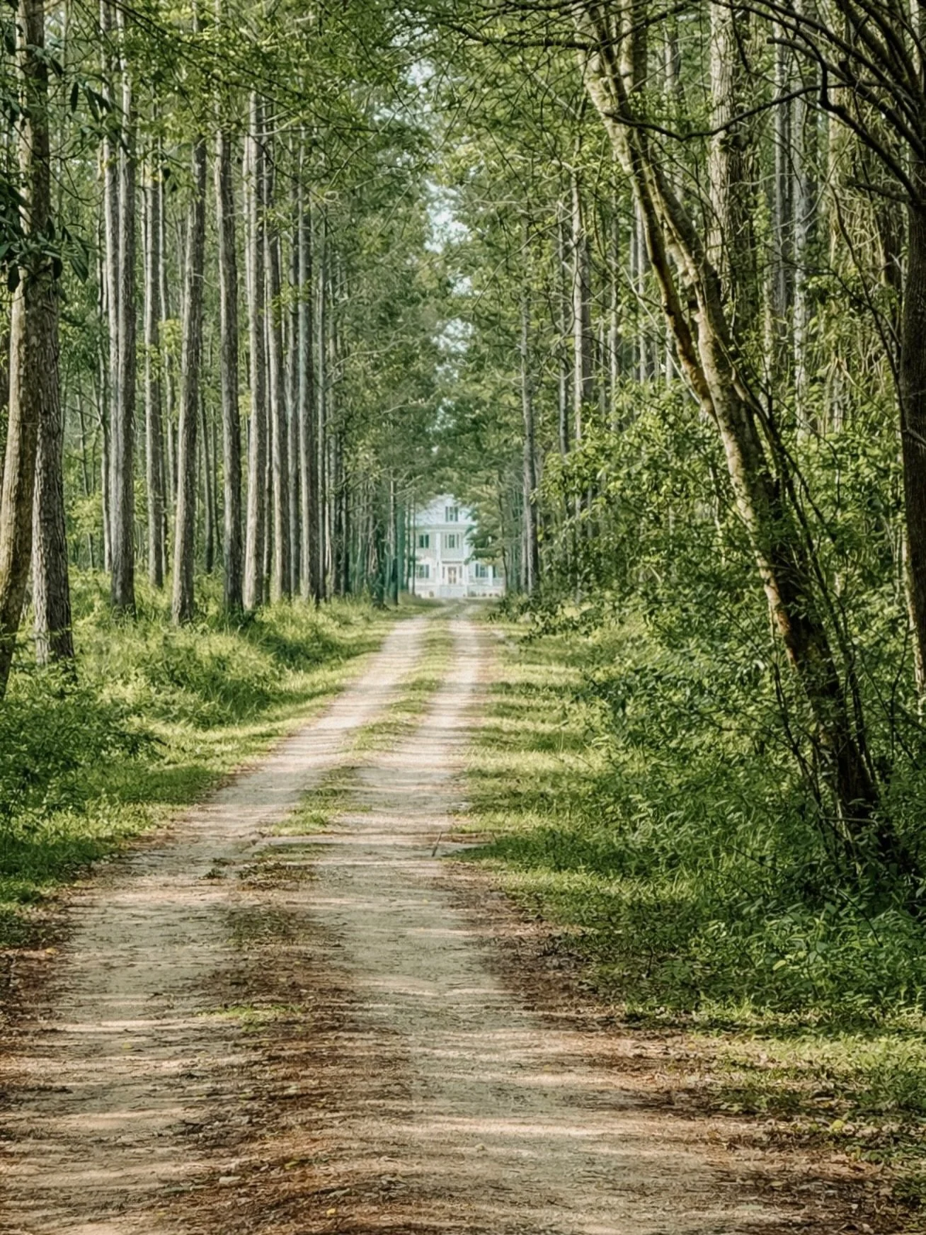 Sometimes the most magical places are a little off the beaten path ✨ And by a little, we mean 5 minutes from 1-95 😉

#SouthCarolinaWeddingVenue
#SCWeddingVenue
#CharlestonWeddings
#OutdoorWeddingVenue
#BrideToBe