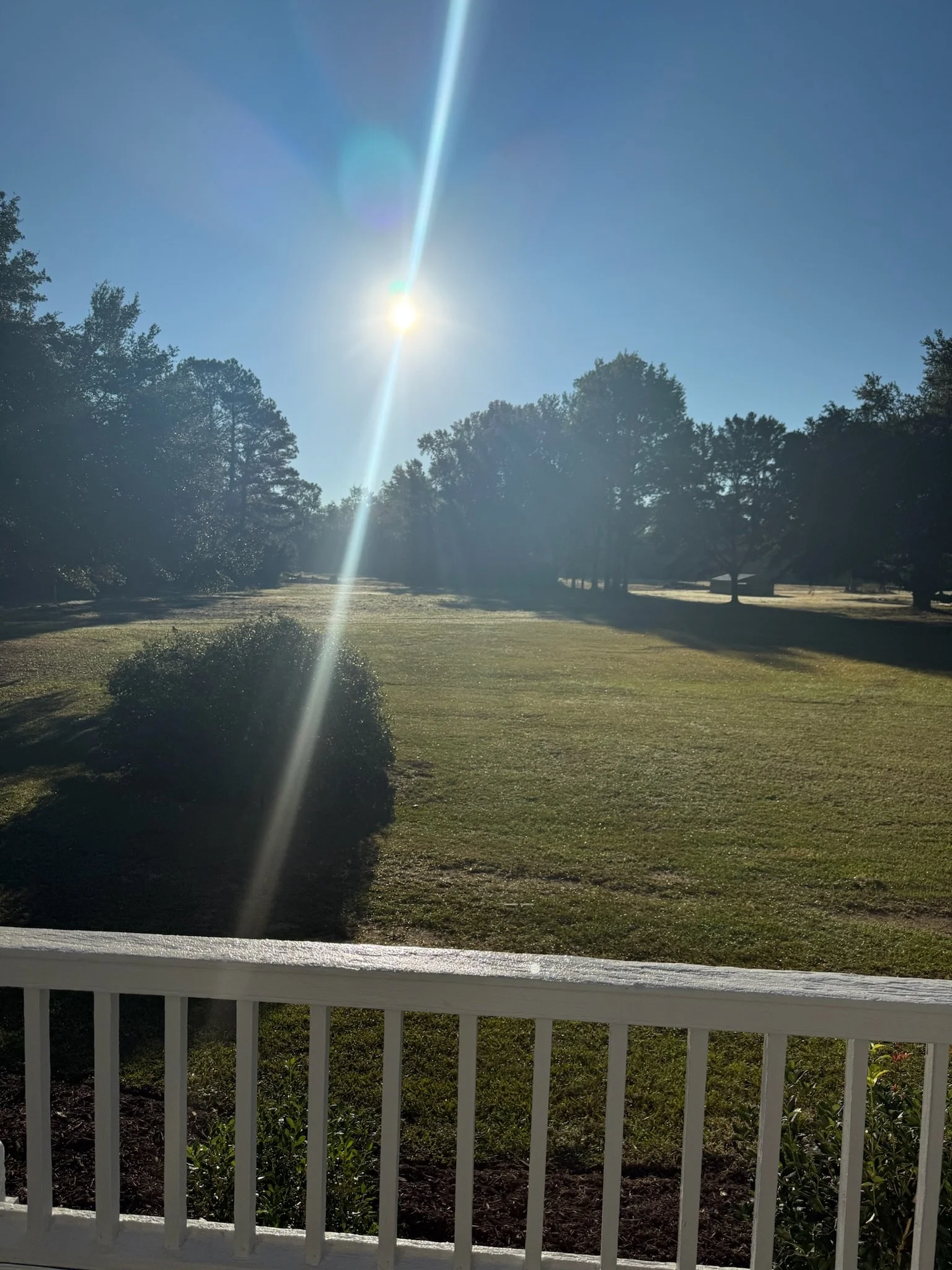 The East Lawn