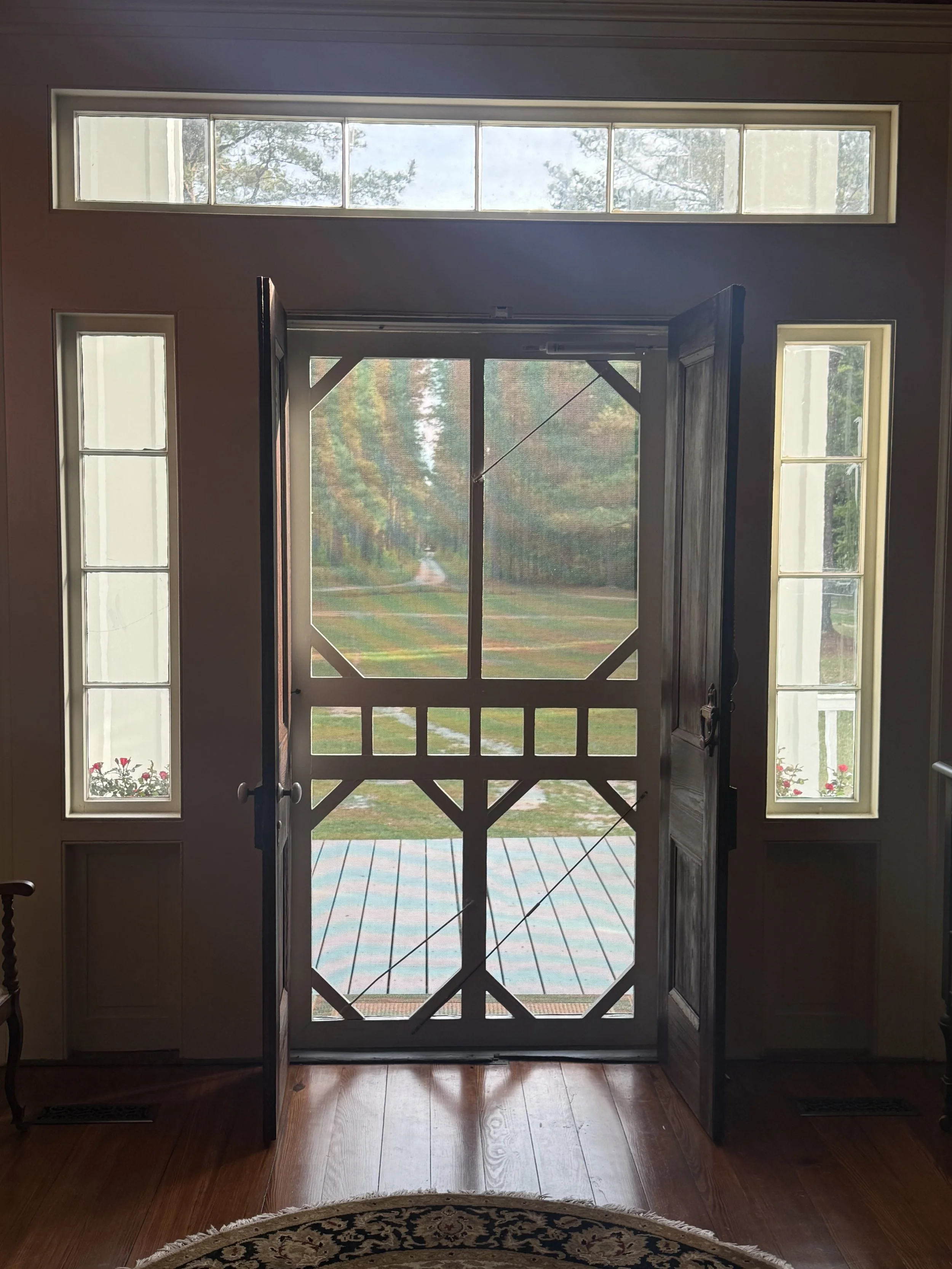 View from inside a house looking out through a door with two side windows and a transom window above, showing a backyard with trees and a brick patio.