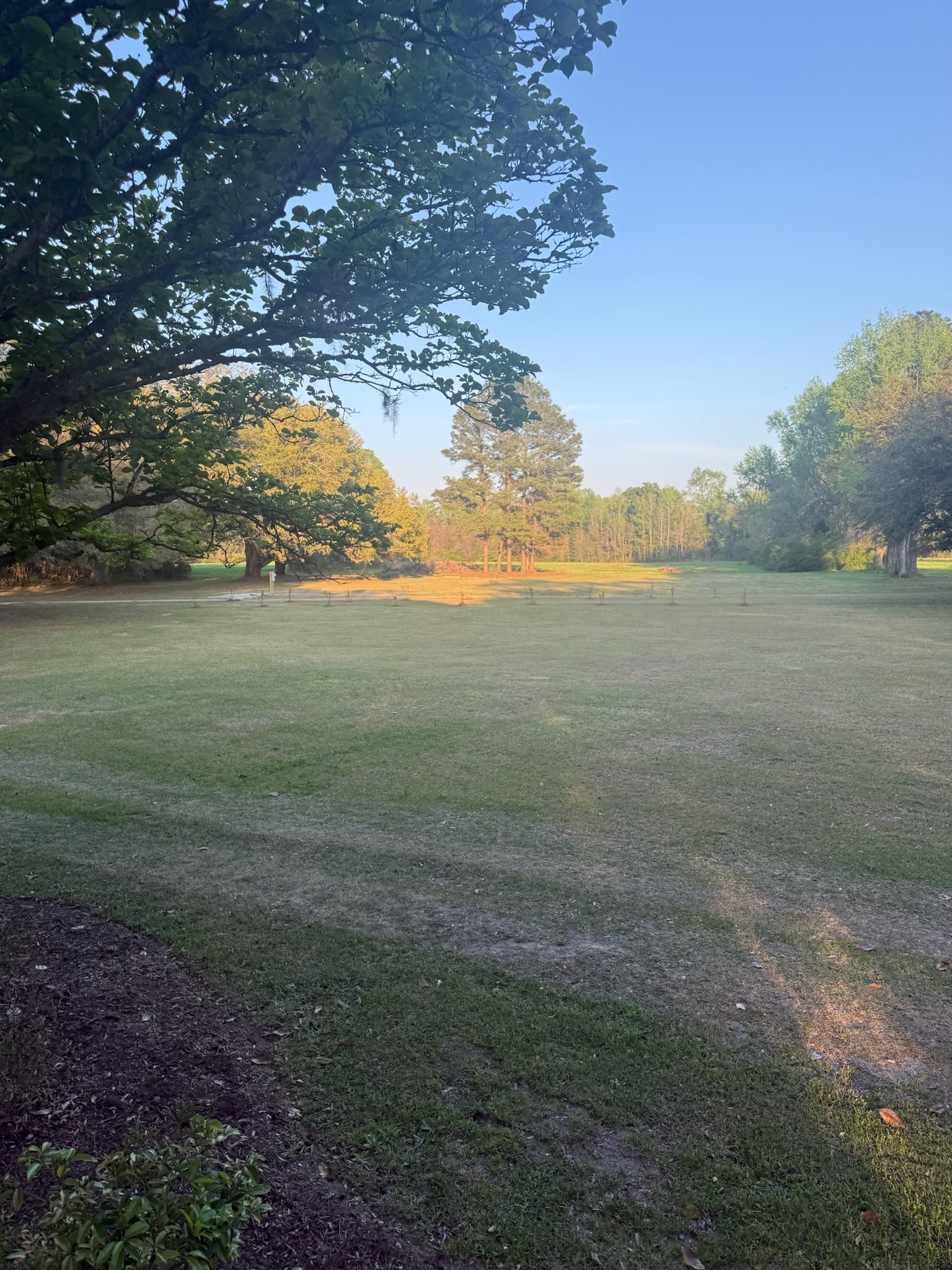 IMG_5397.jpeg