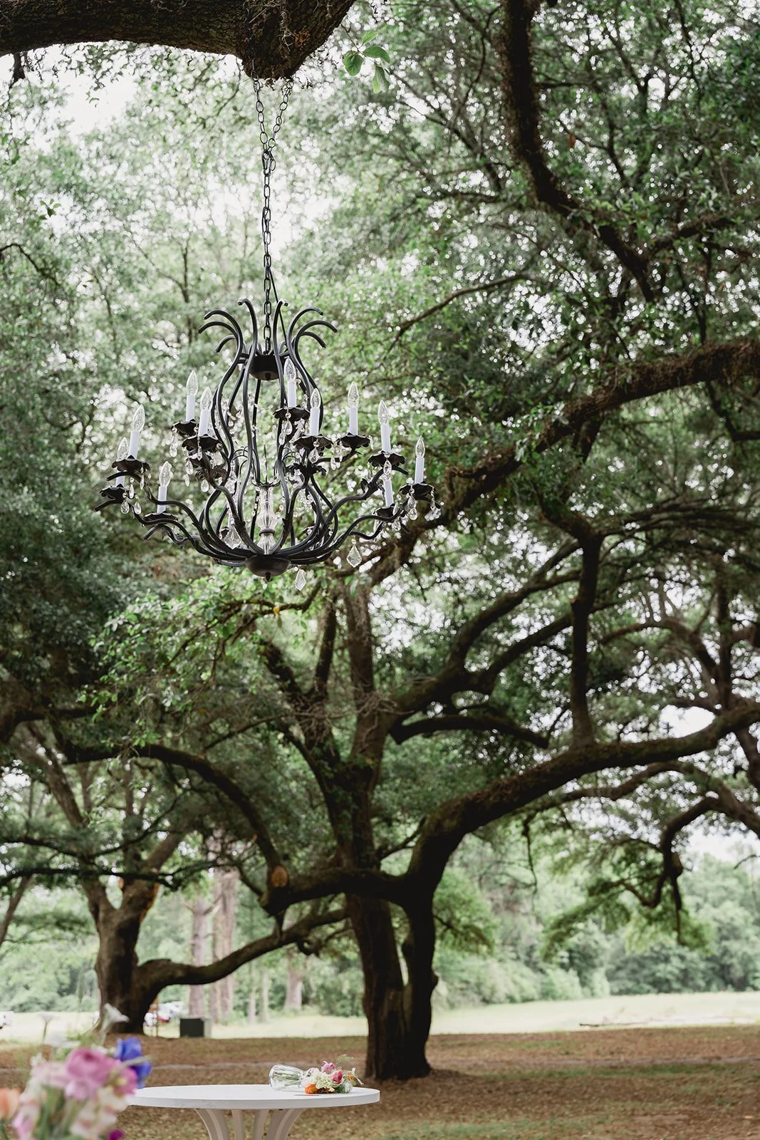 The Oak Grove