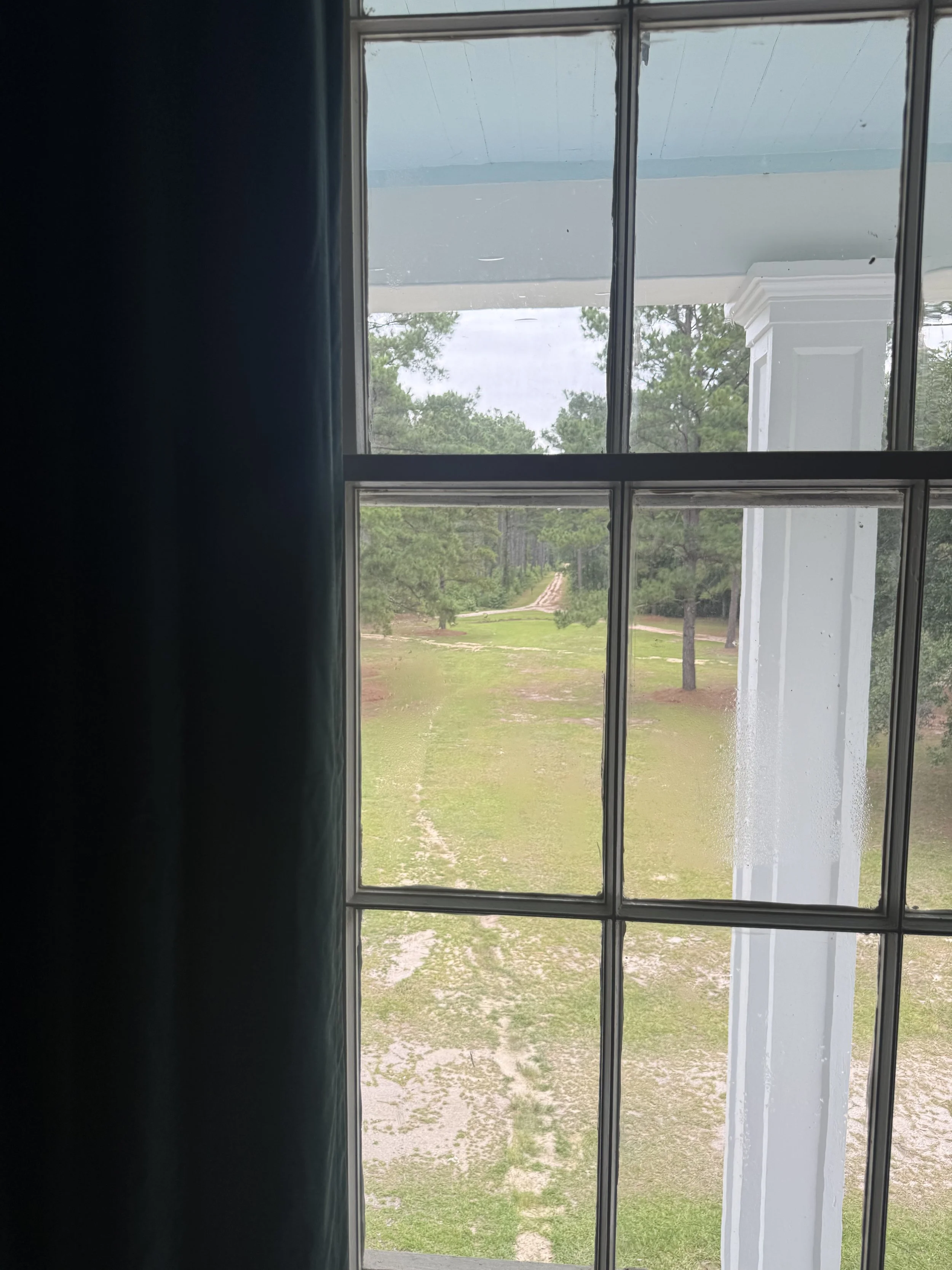 IMG_6516.jpeg