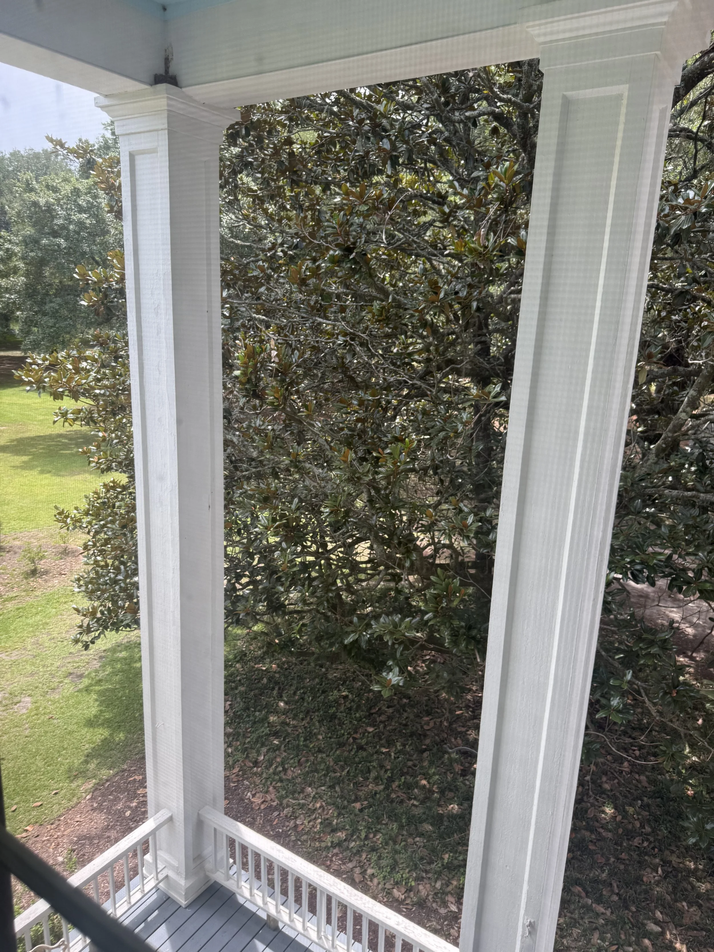 IMG_6578.jpeg
