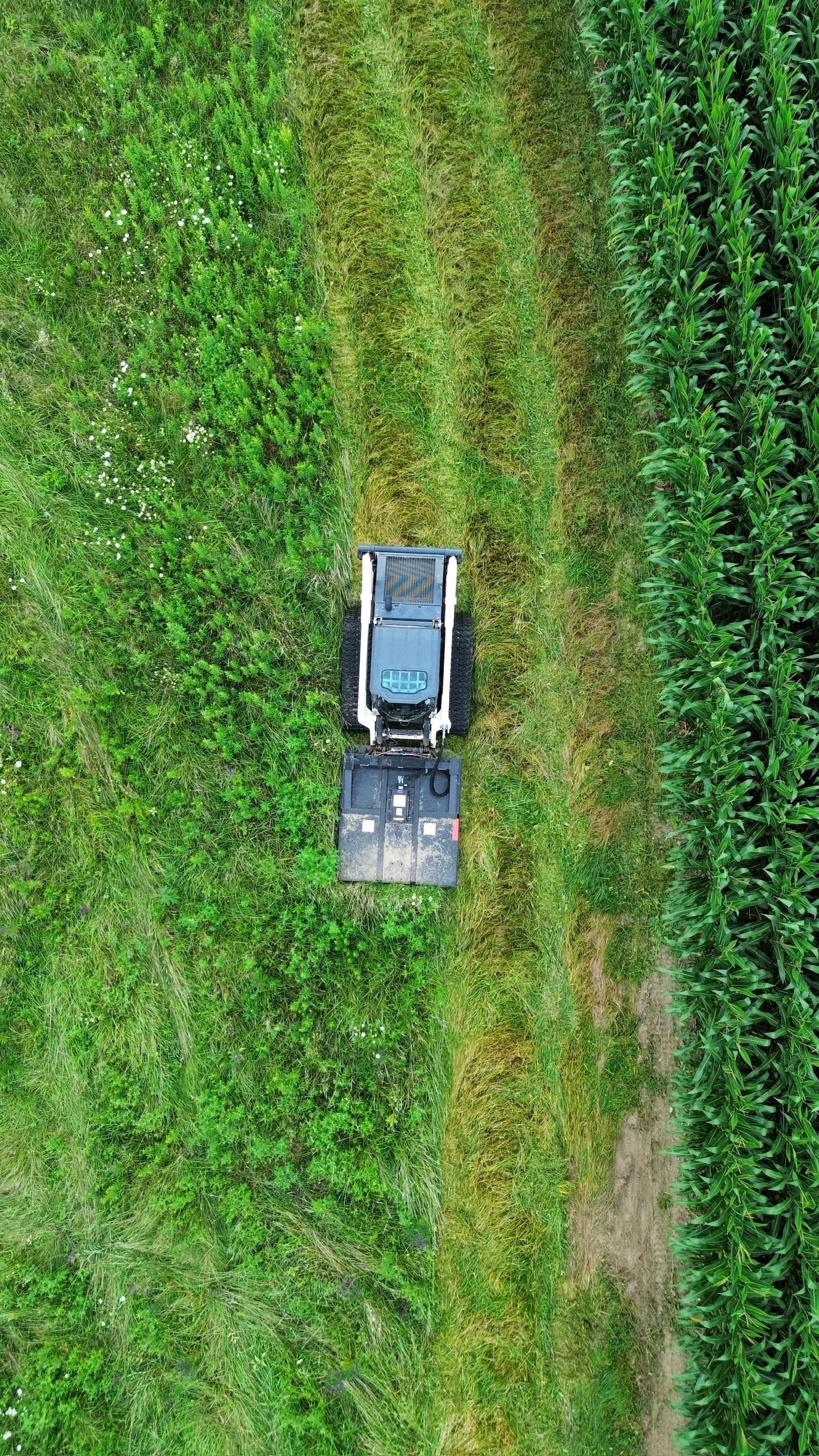 dji_fly_20250819_175228_521_1755640521474_photo_optimized.jpg