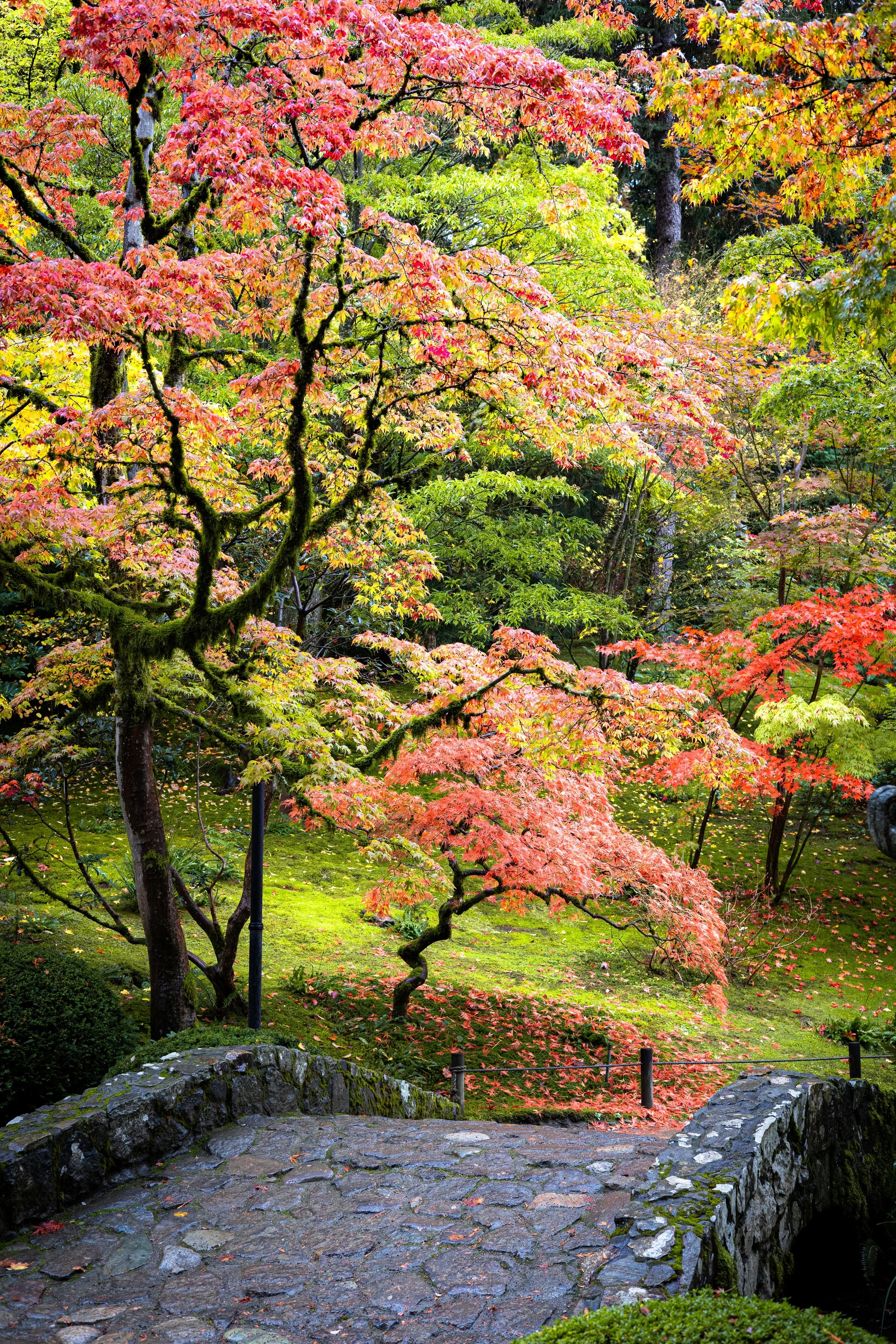 seattle2024-011 (resized).jpg