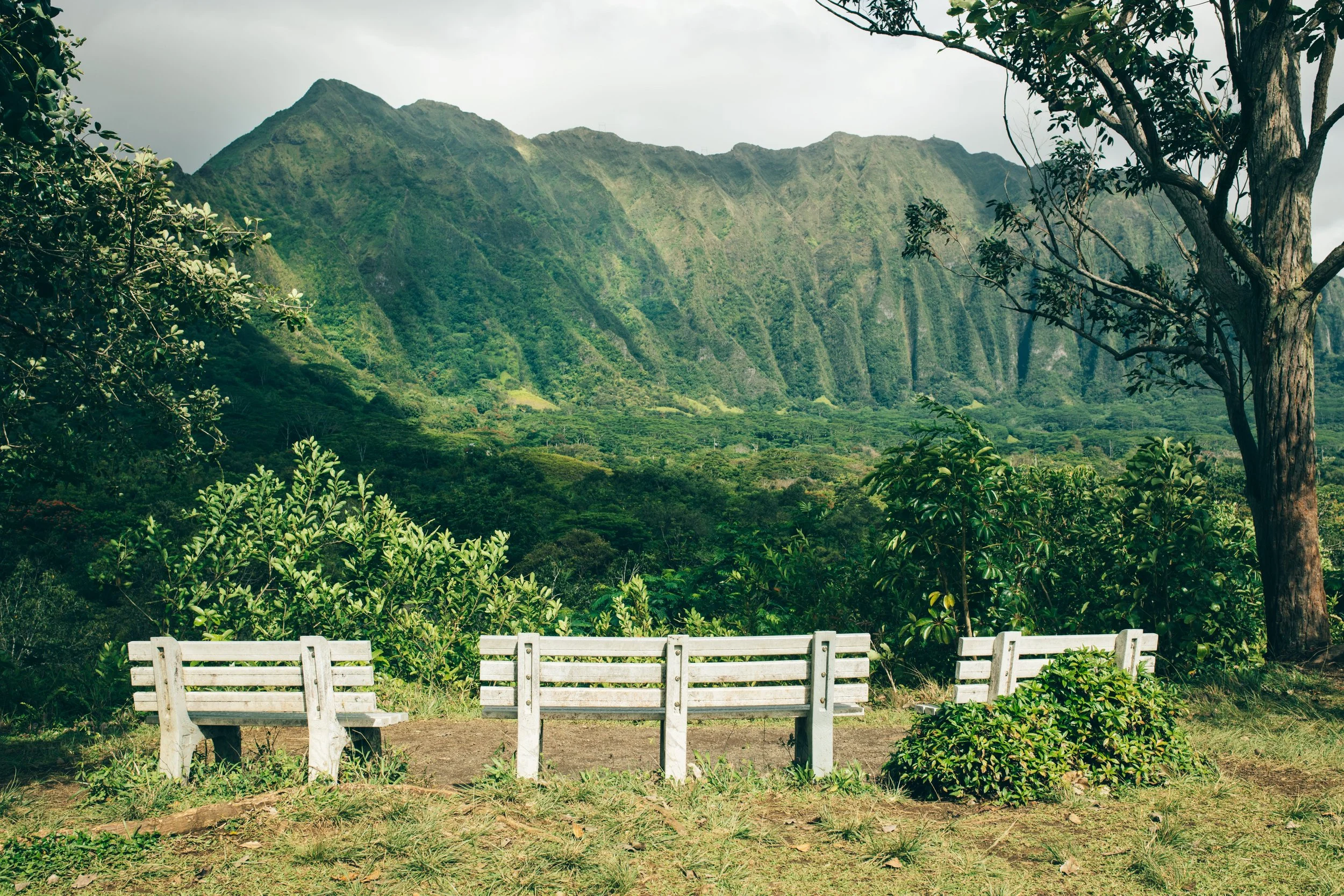 FFLandscape-06 (resized).JPG