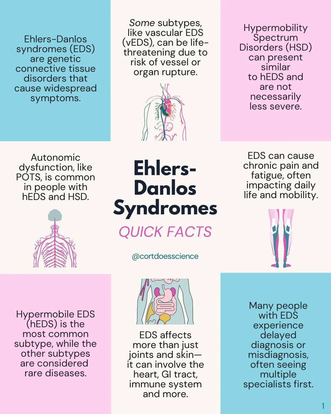 Some EDS Quick Facts!! 🧠

EDS isn&rsquo;t just about being flexible, and it doesn&rsquo;t look the same in everyone. It&rsquo;s a lifelong connective tissue condition that can affect multiple systems, require multidisciplinary care, and change over 