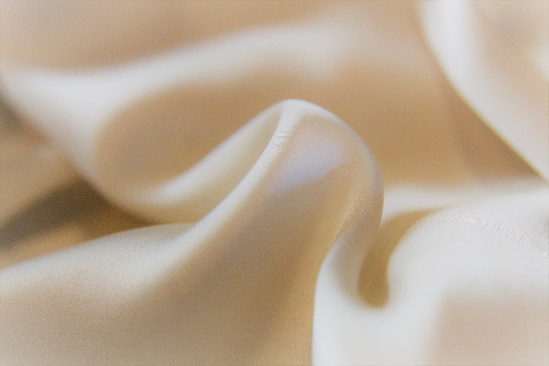 Close up photograph of ivory silk