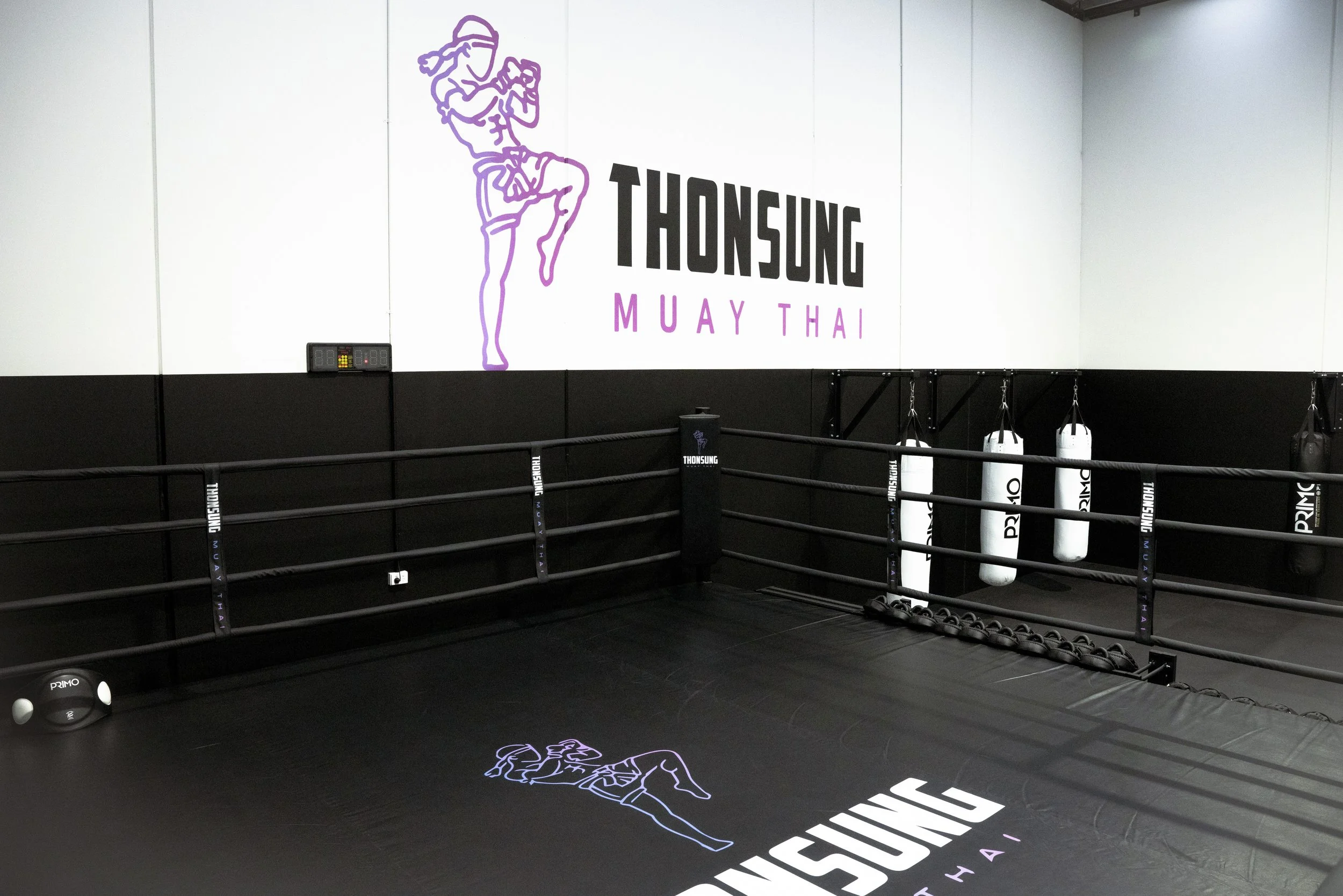 Ring/Canvas Shot. Thonsung Muay Thai gym facility and training area in Epping Victoria.