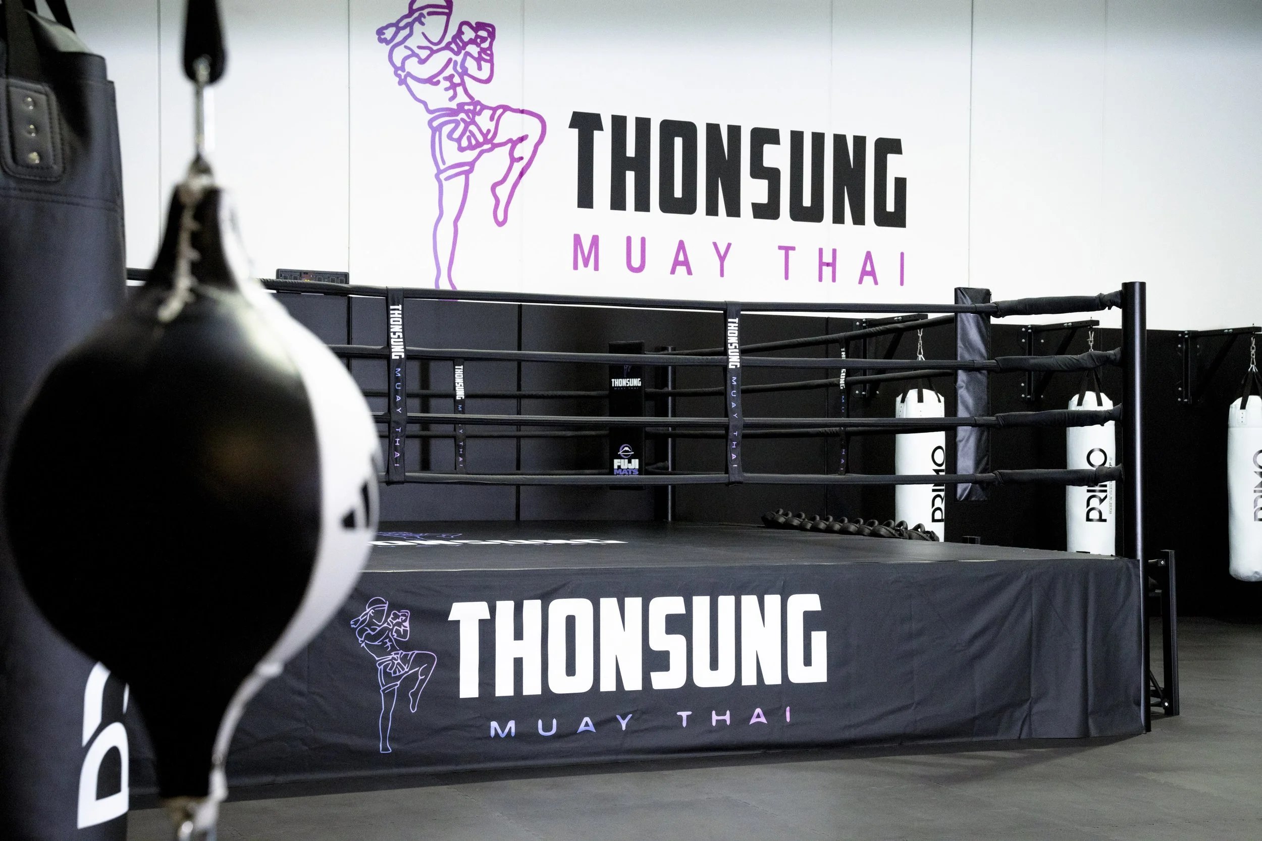 Ring/Canvas Shot. Thonsung Muay Thai gym facility and training area in Epping Victoria.