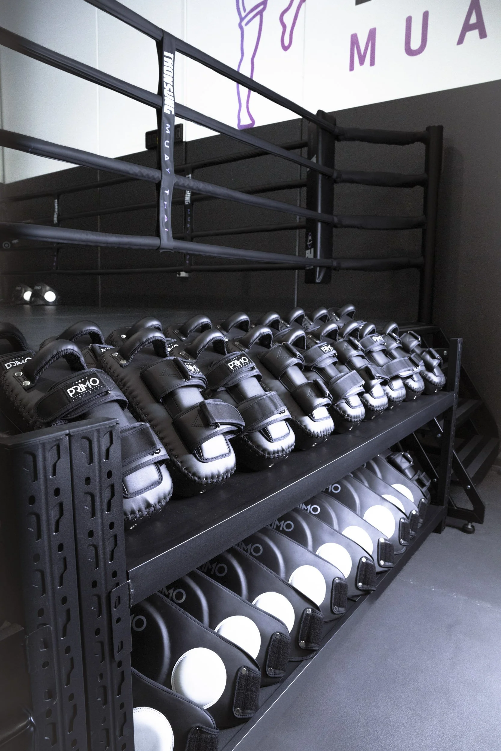 Mat/Floor Area. Thonsung Muay Thai gym facility and training area in Epping Victoria.