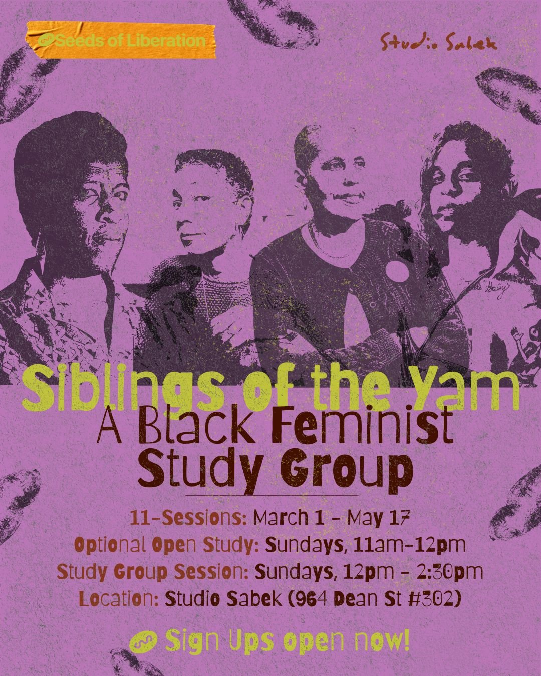 Black Feminist Theory Study Group