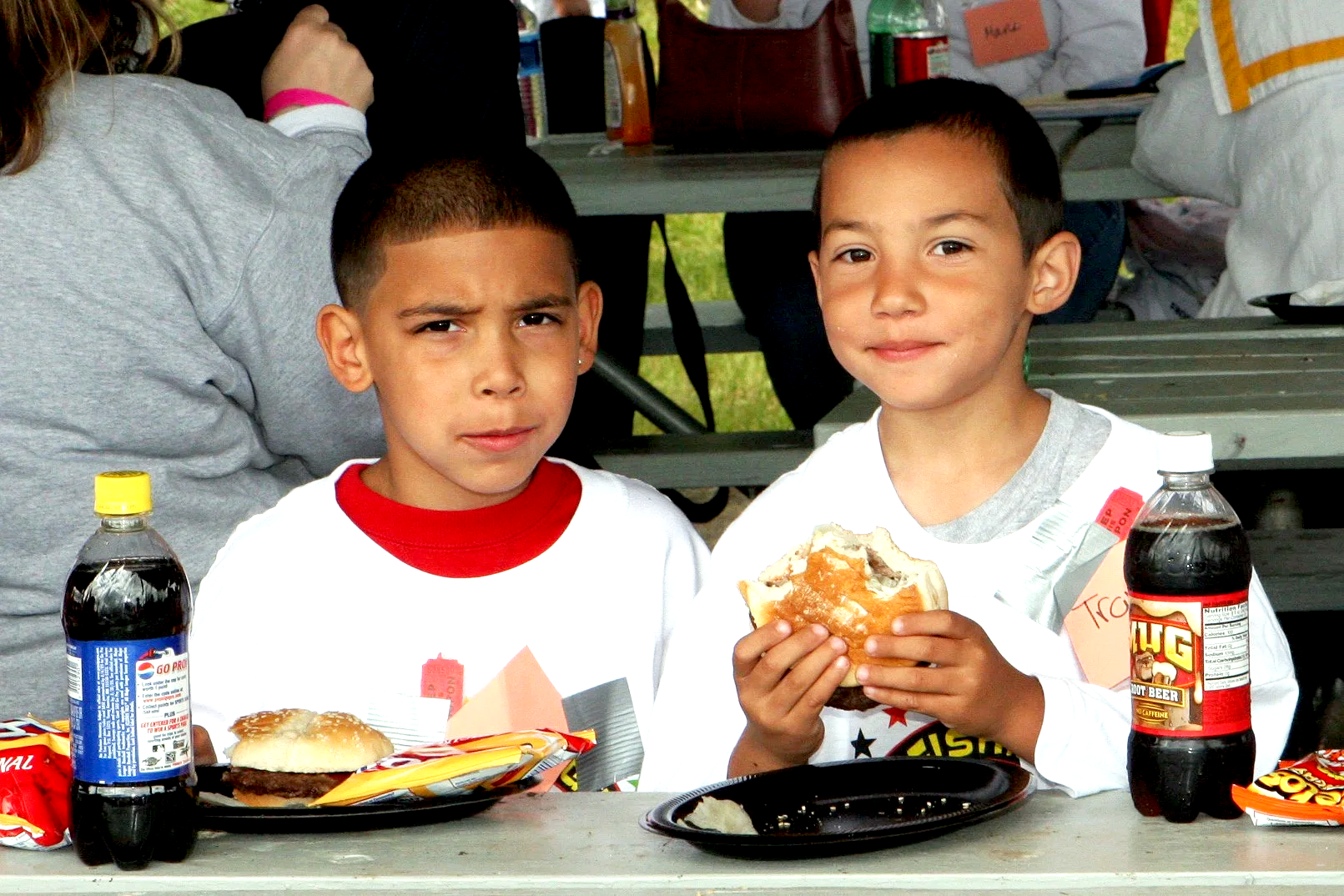 Two young boys sitting at a picnic table with food and drinks, one holding a sandwich and the other with a serious expression.