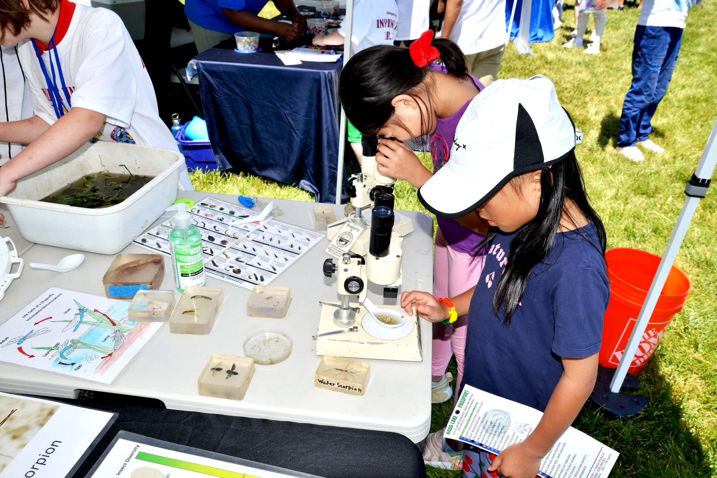 Two young girls examining insects under a microscope at an outdoor science event, with various insect specimens and educational materials on a table.