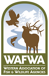 Logo for Western Association of Fish & Wildlife Agencies featuring a bald eagle, two fish, and a deer in front of a river scene.