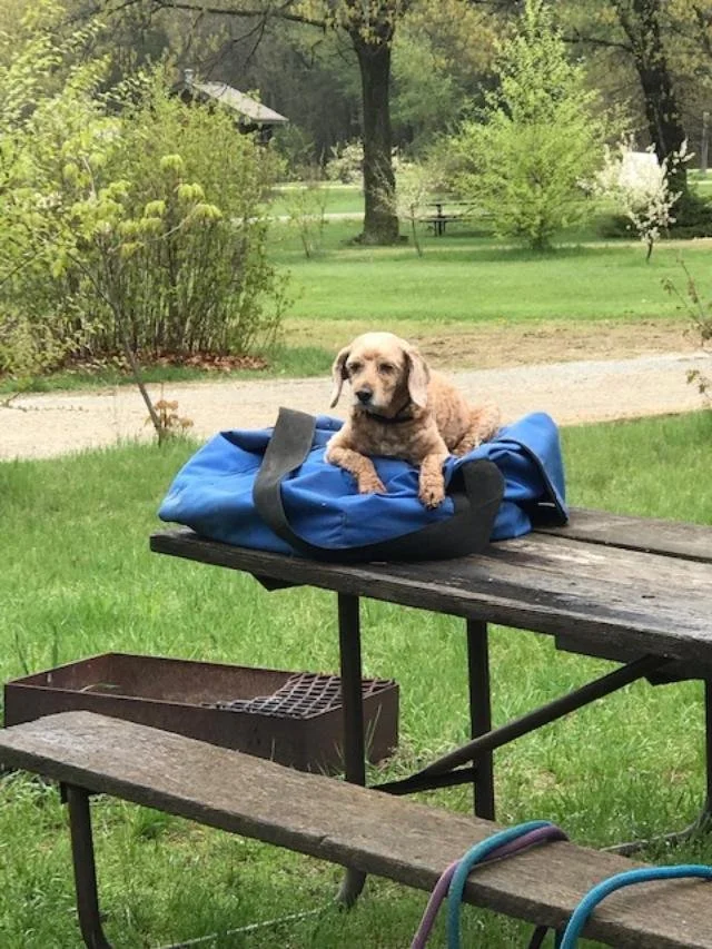 SAT - 50 AHA Endurance Junior