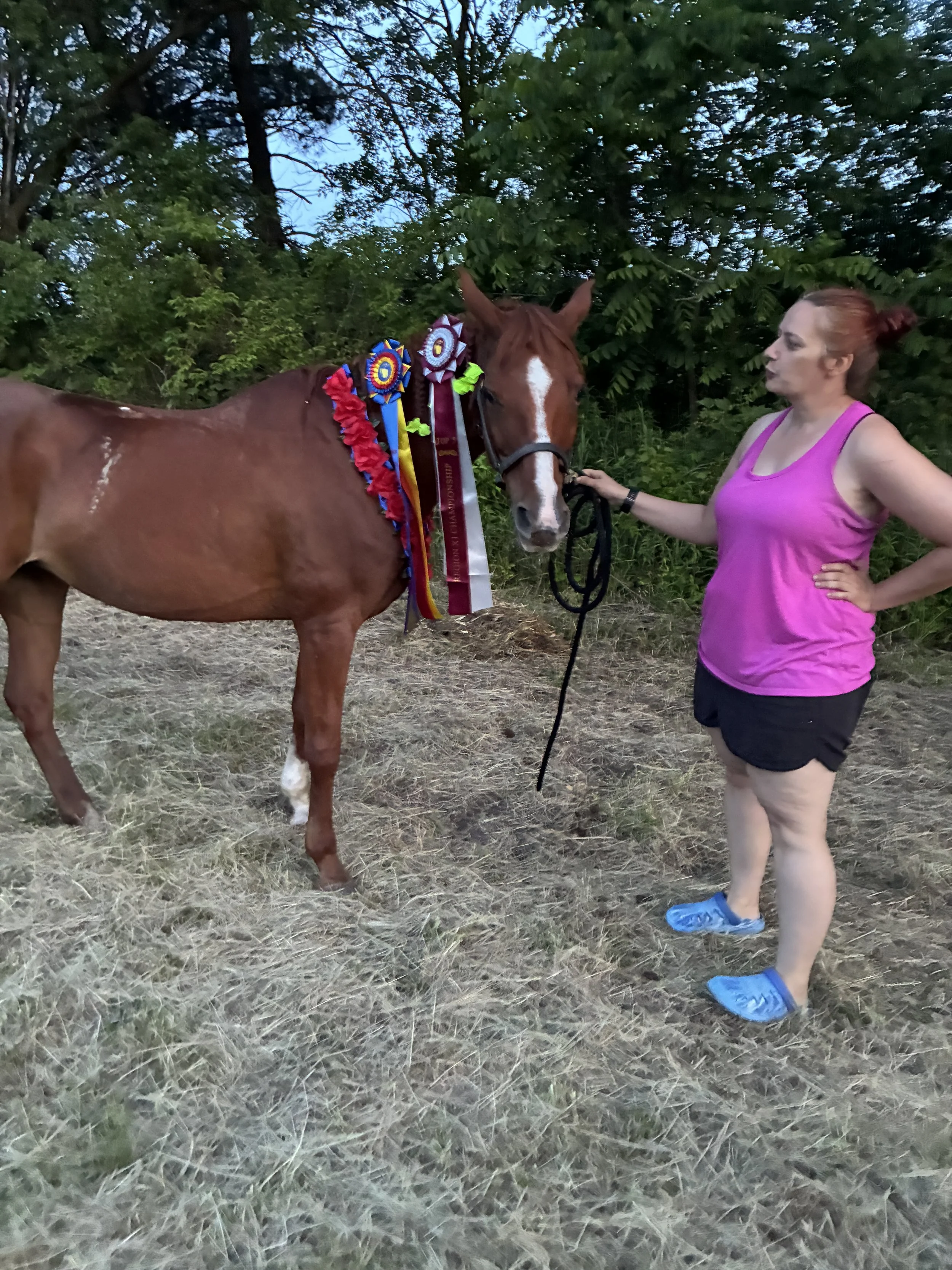 SAT - 50 AHA Endurance