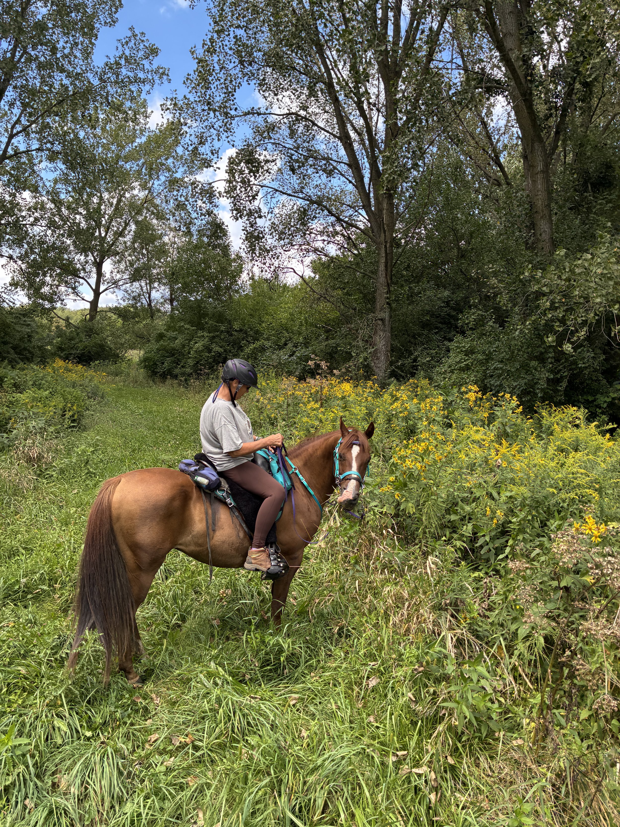 SUN - 25 Competitive