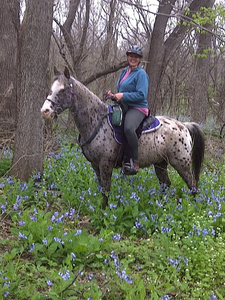 SAT - 12.5 AERC Intro