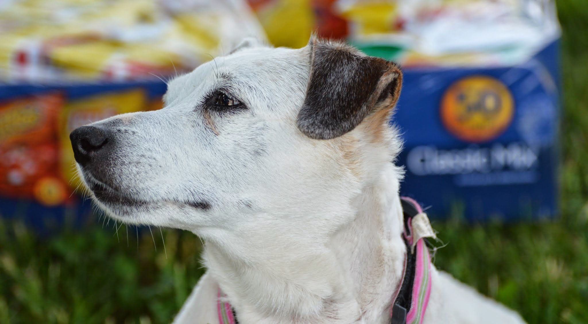 SAT - 25 Limited Distance