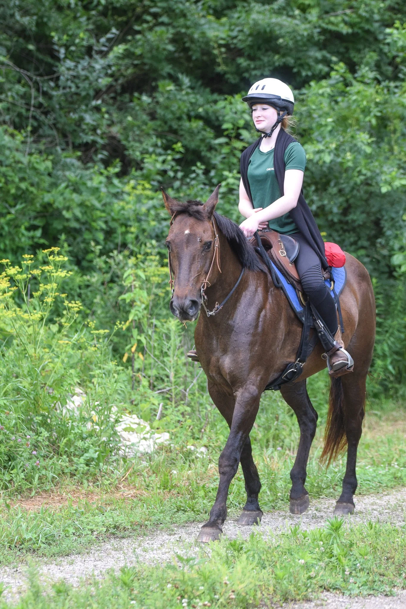 SAT - 50 Endurance Junior