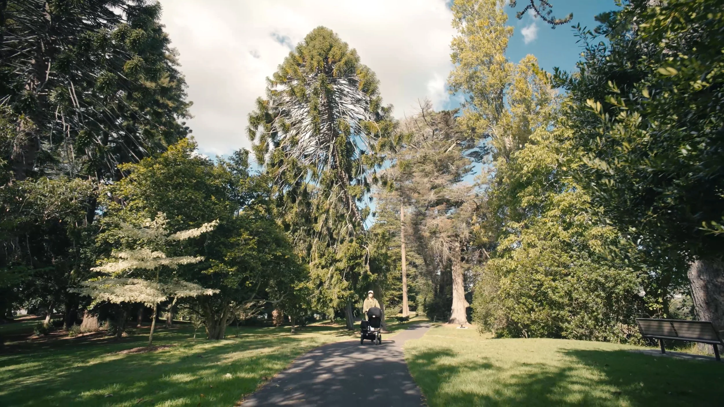 A woman pushing a stroller along a winding park path surrounded by lush green trees and grass.