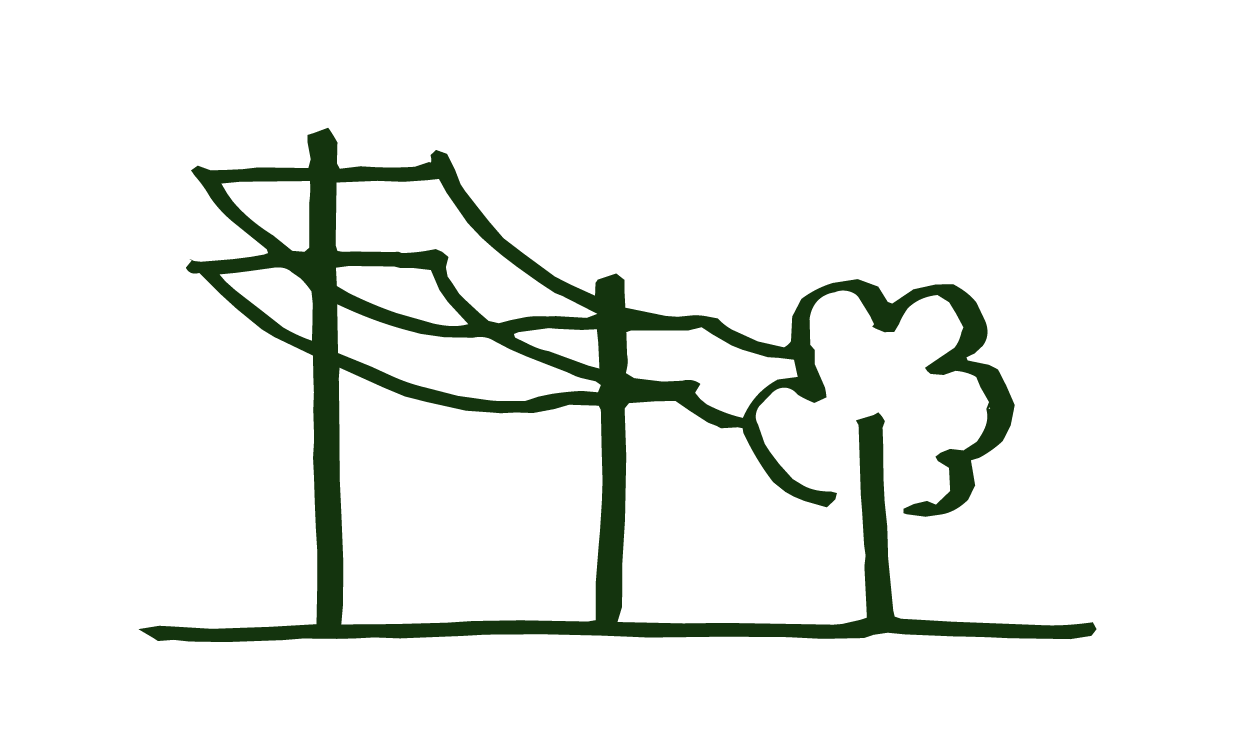 Hand-drawn illustration of power lines, a utility pole, and a tree with a cloud in the background.