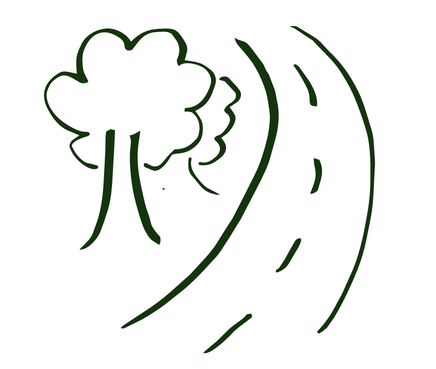 A simple line drawing of a tree beside a winding road.