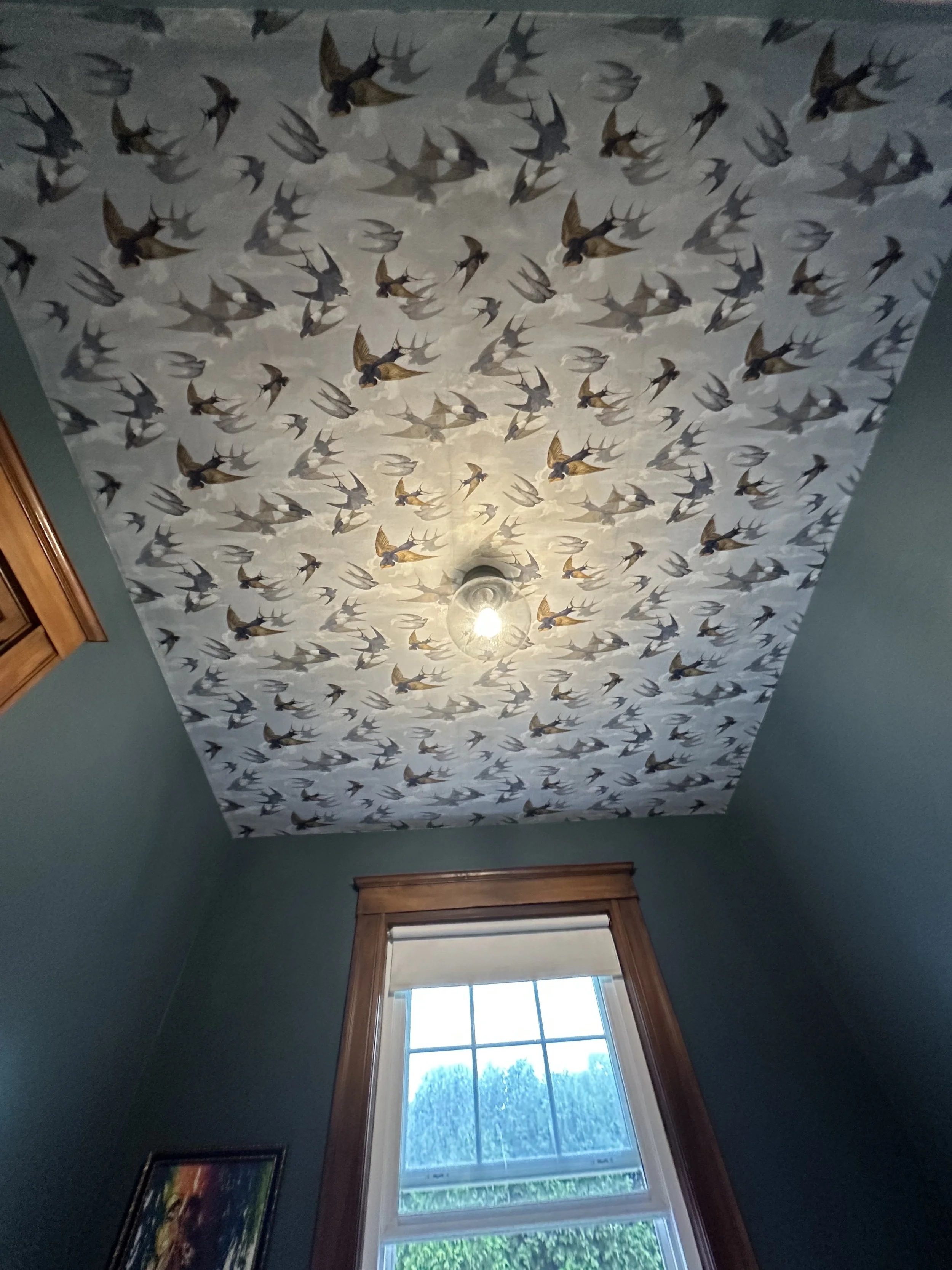 Ceiling decorated with wallpaper of flying birds, with a central light fixture, a window with brown trim, and a partially visible framed picture on the wall.