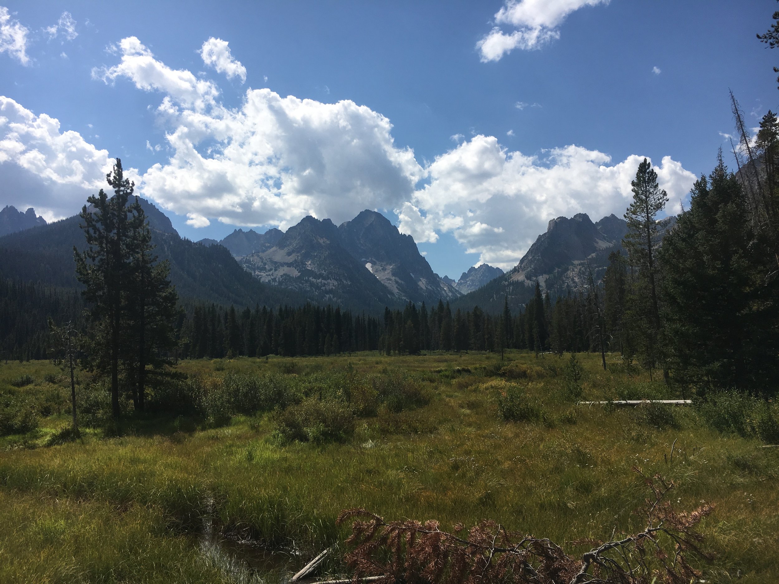 Scenic view of a mountain landscape with tall trees in a forest, green meadow, and mountain peaks under a partly cloudy sky.
